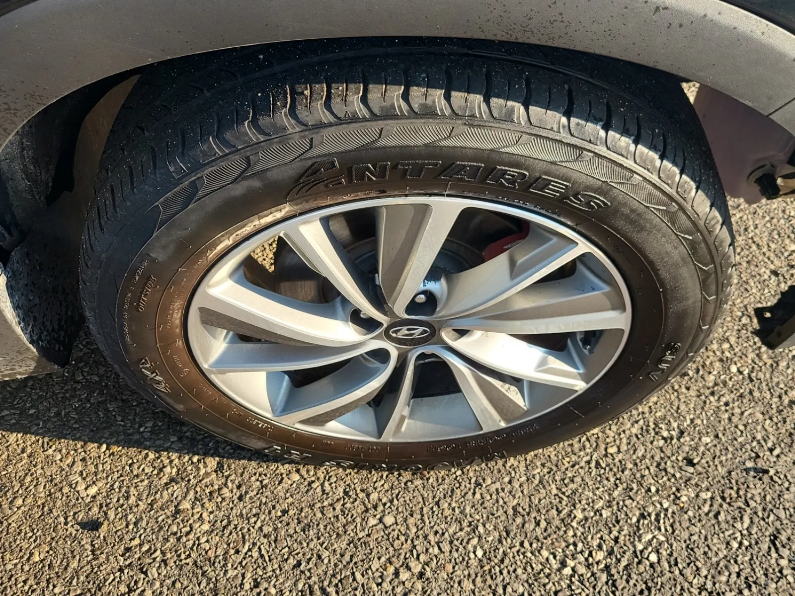 Right Front Wheel/Tire Photo