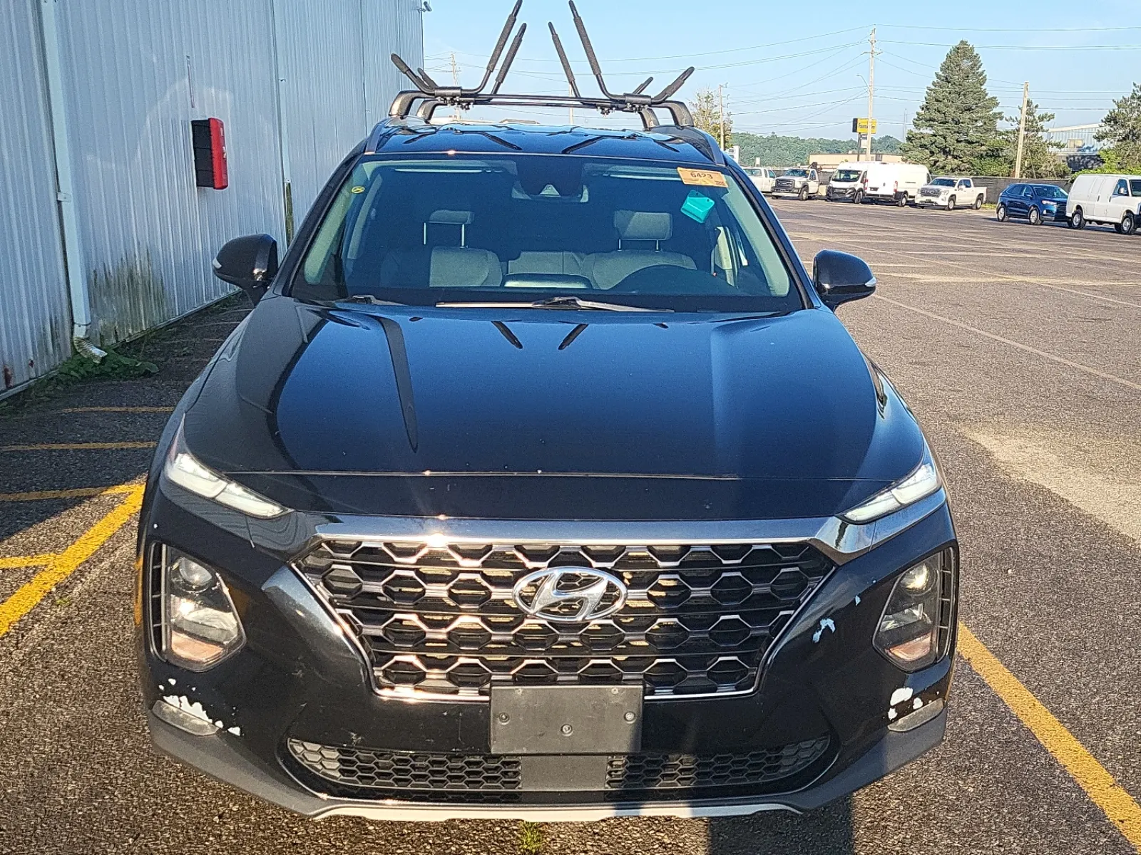Full Front Photo