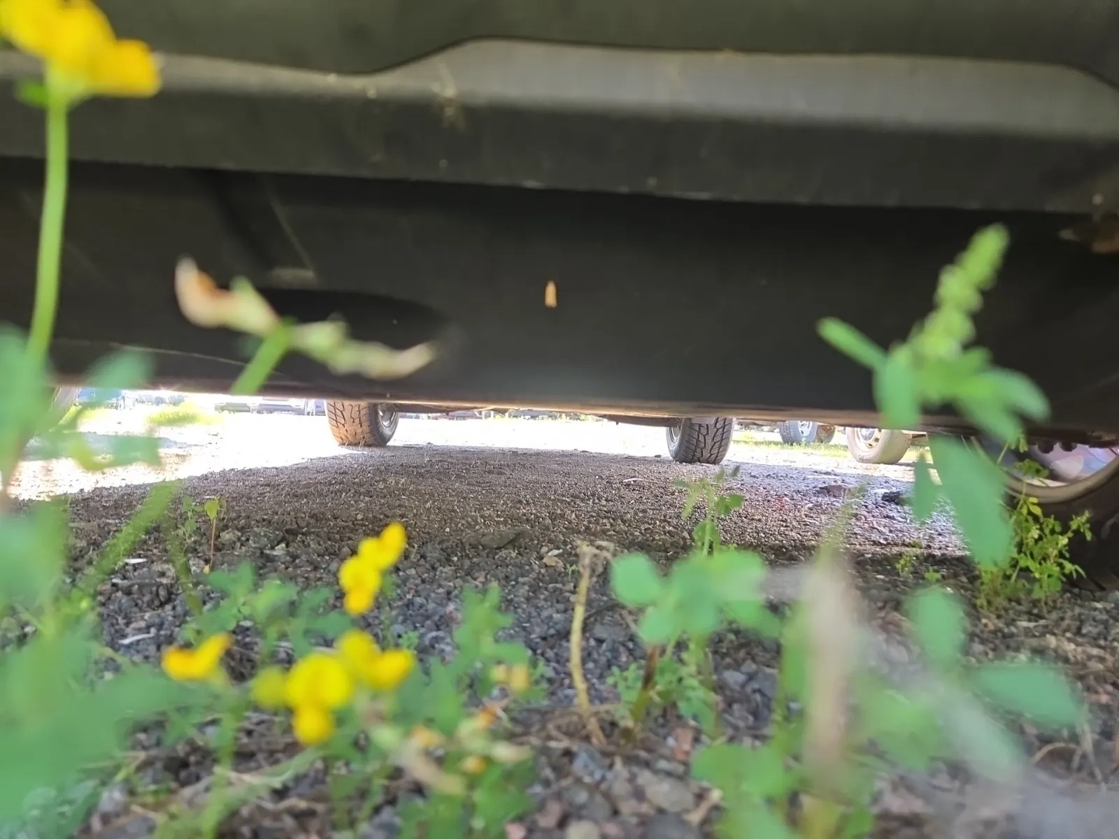 Undercarriage - Front Photo