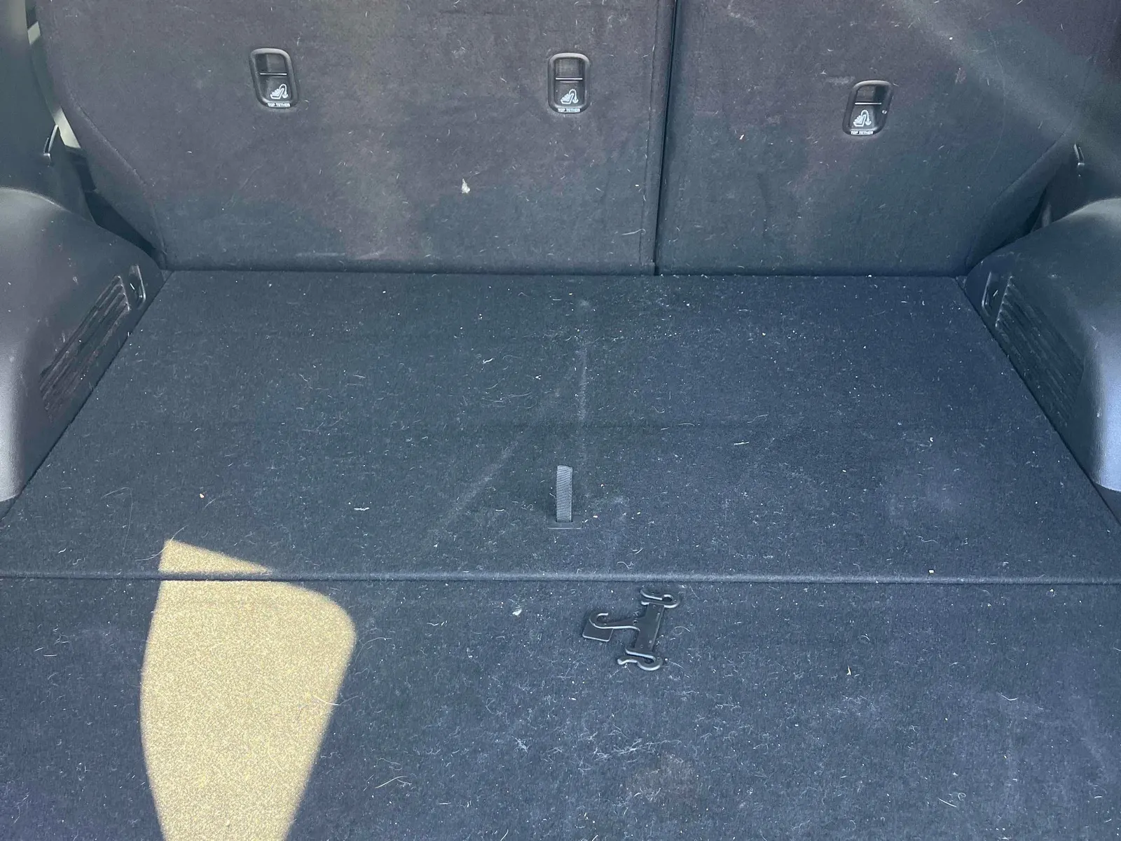 Additional Photo