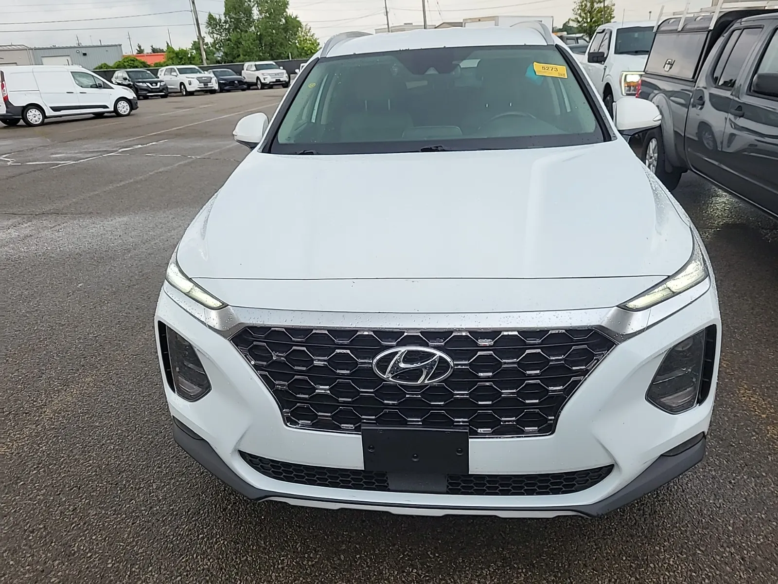 Full Front Photo