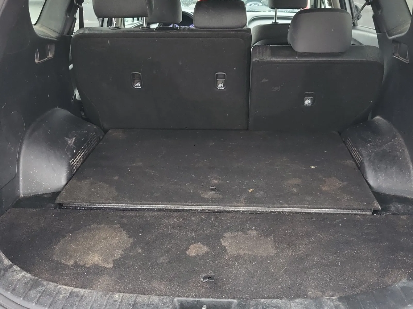 Cargo Area Photo