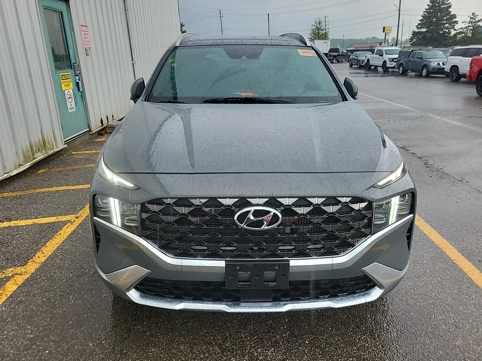 Full Front Photo