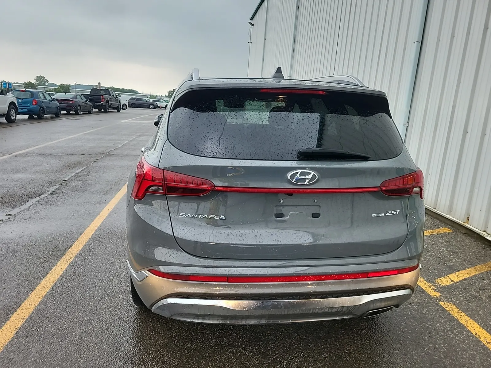 Full Rear Photo