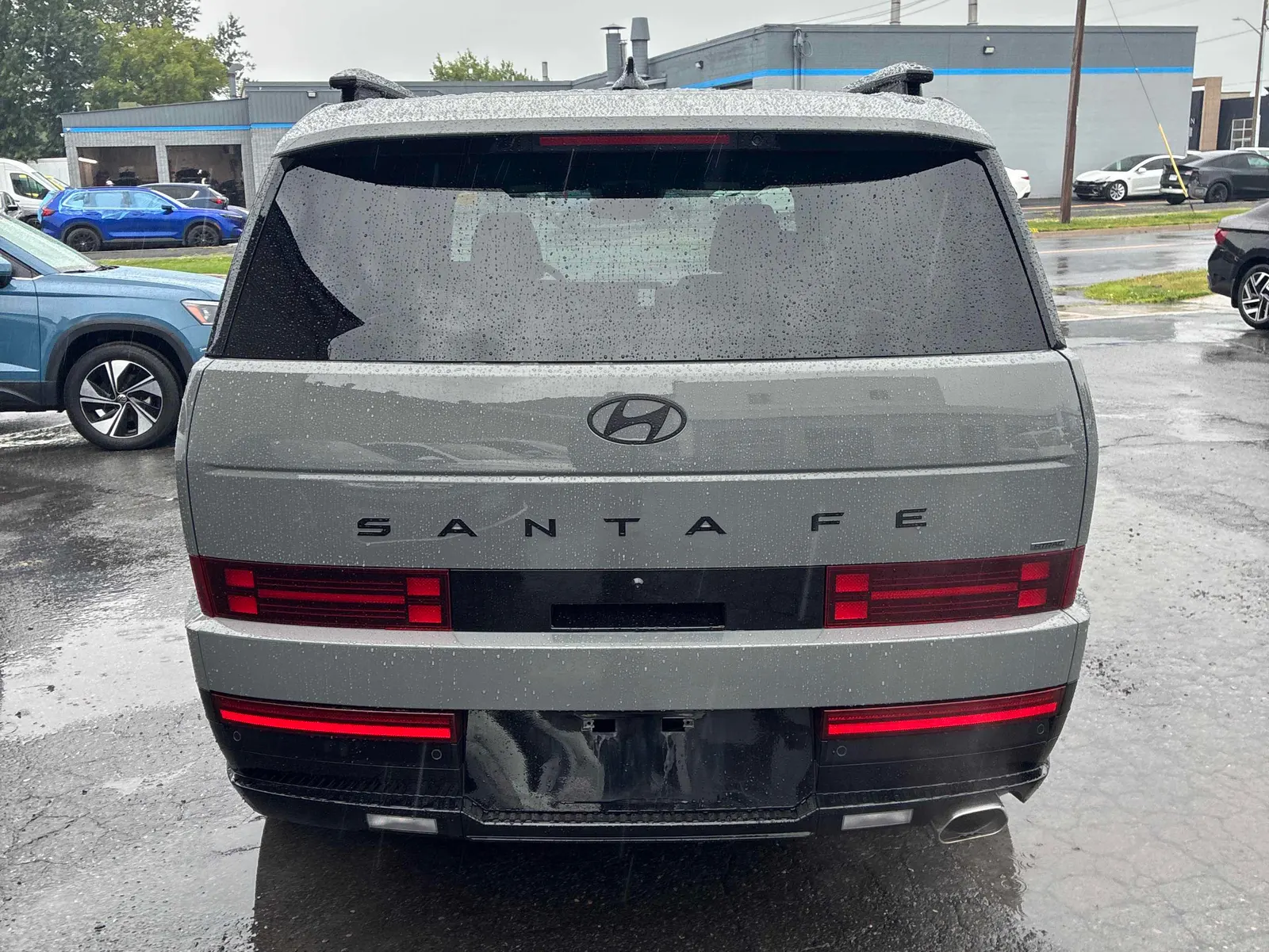 Back