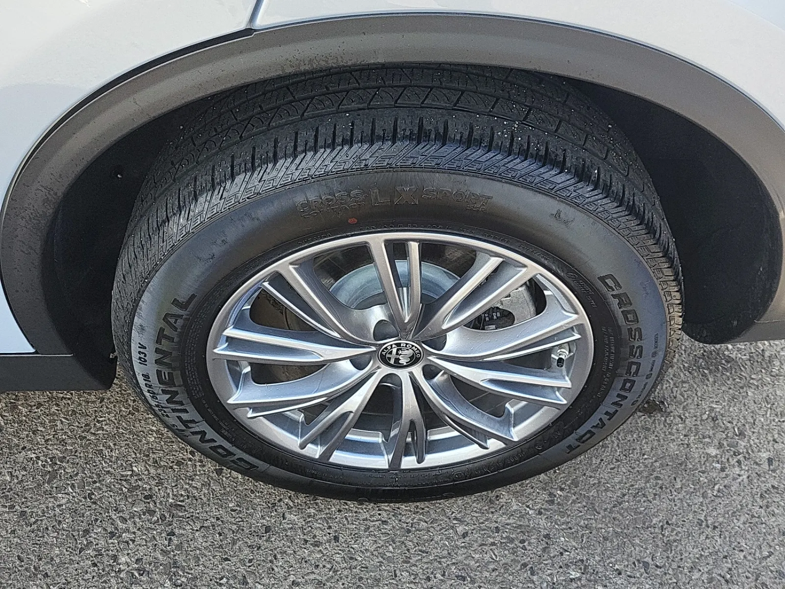 Left Rear Wheel/Tire Photo