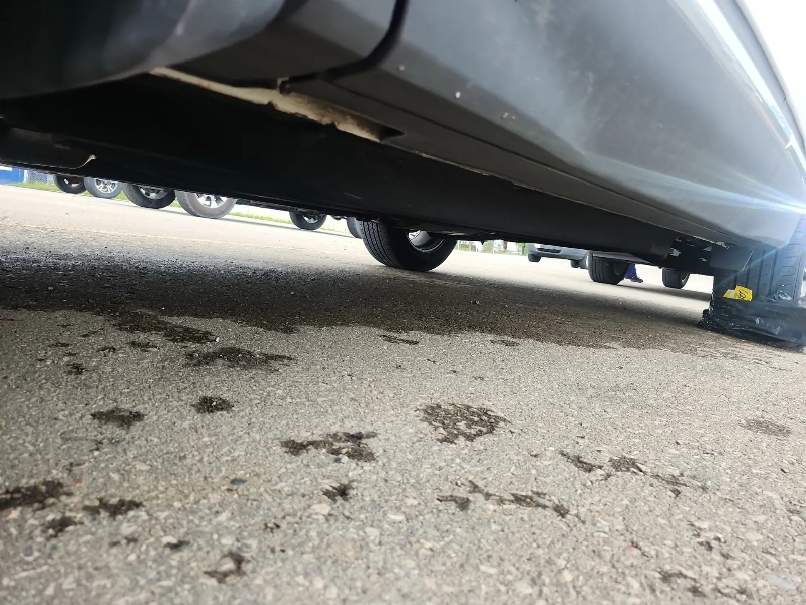 Undercarriage - Driver Photo