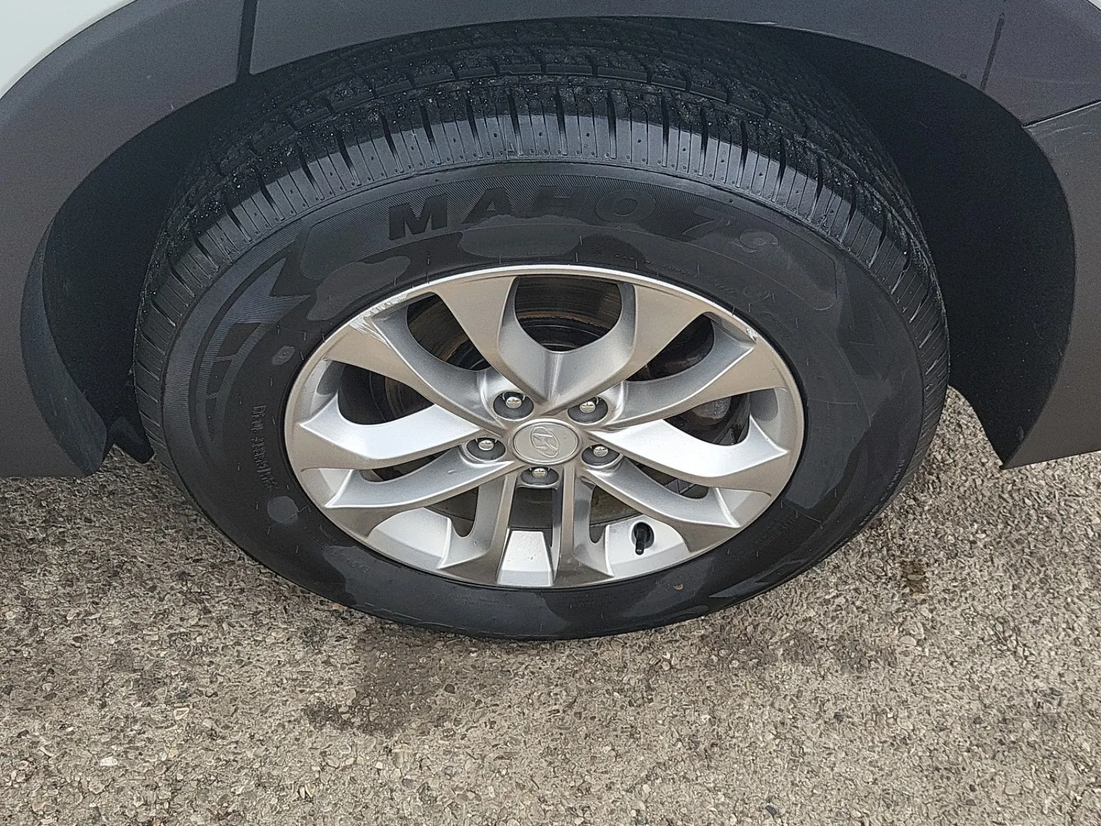 Left Rear Wheel/Tire Photo