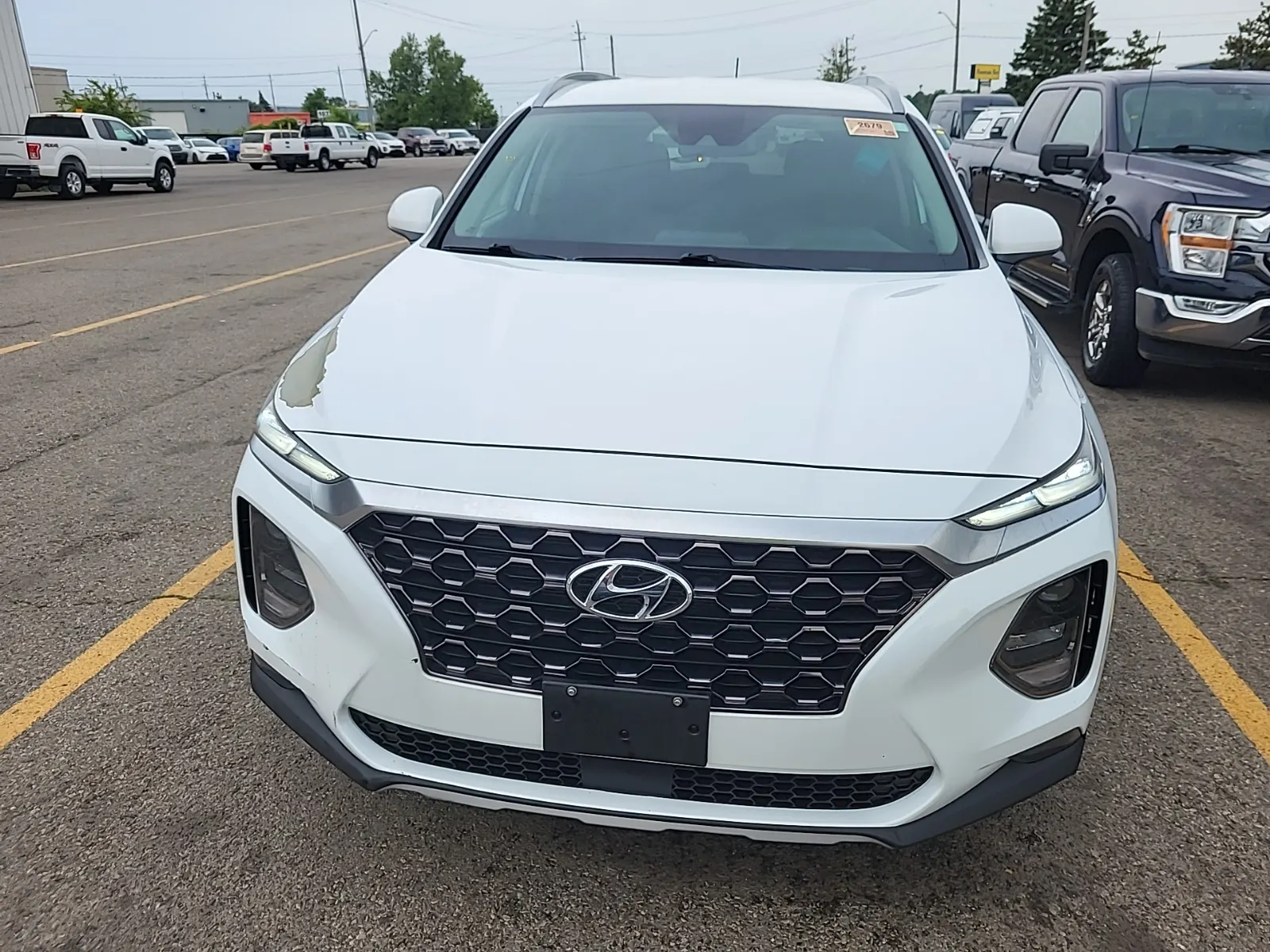 Full Front Photo