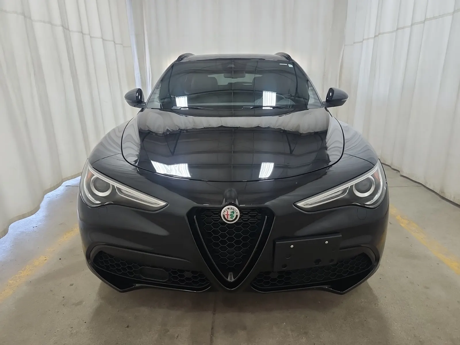Full Front Photo