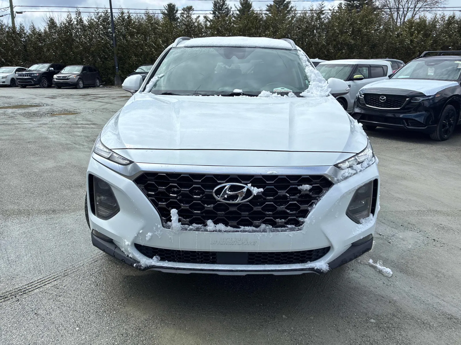 Front