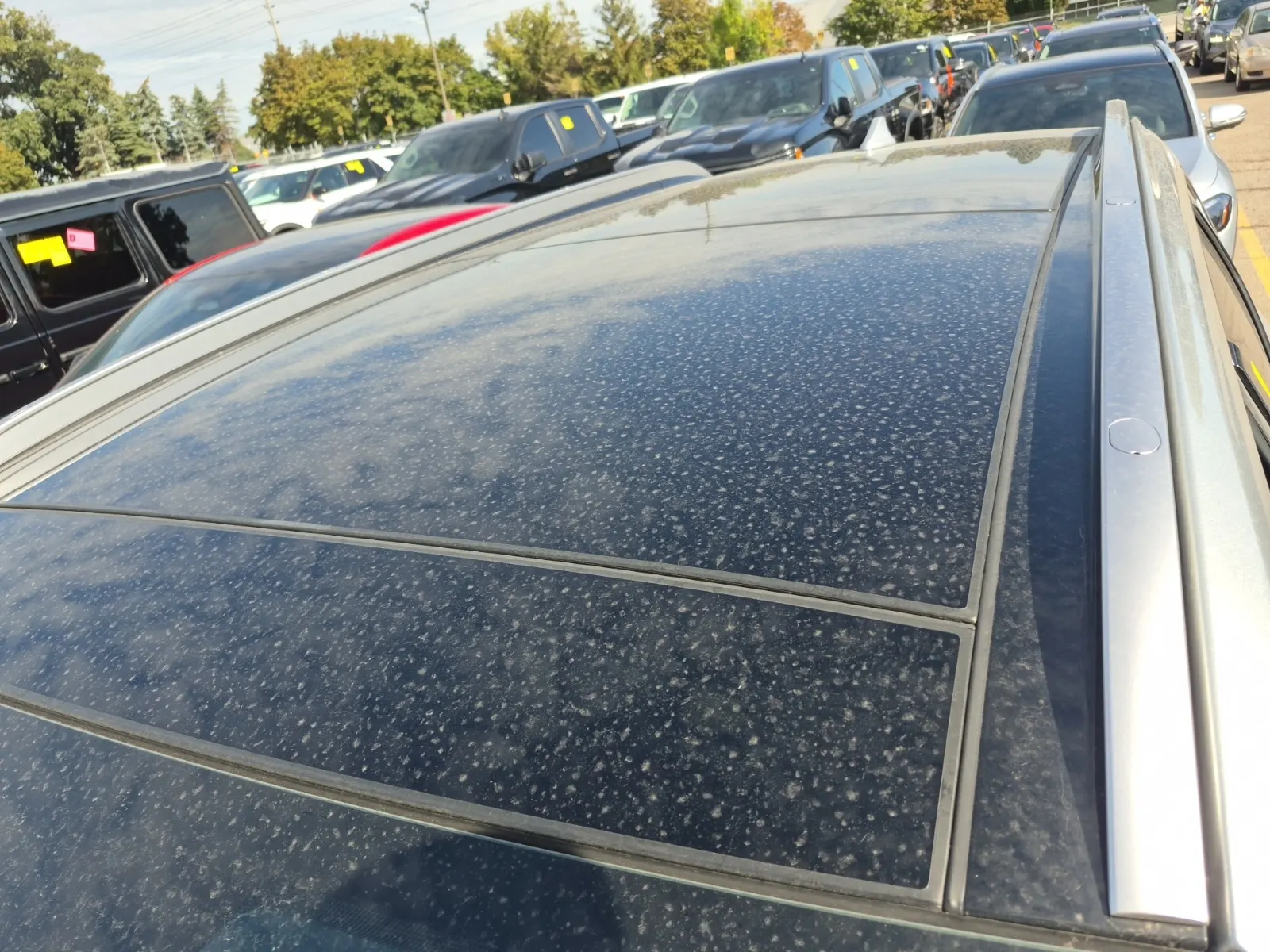 Exterior Roof Photo
