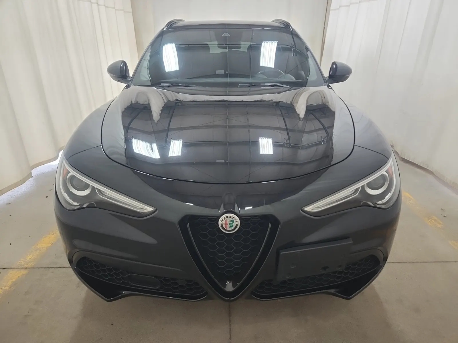 Full Front Photo