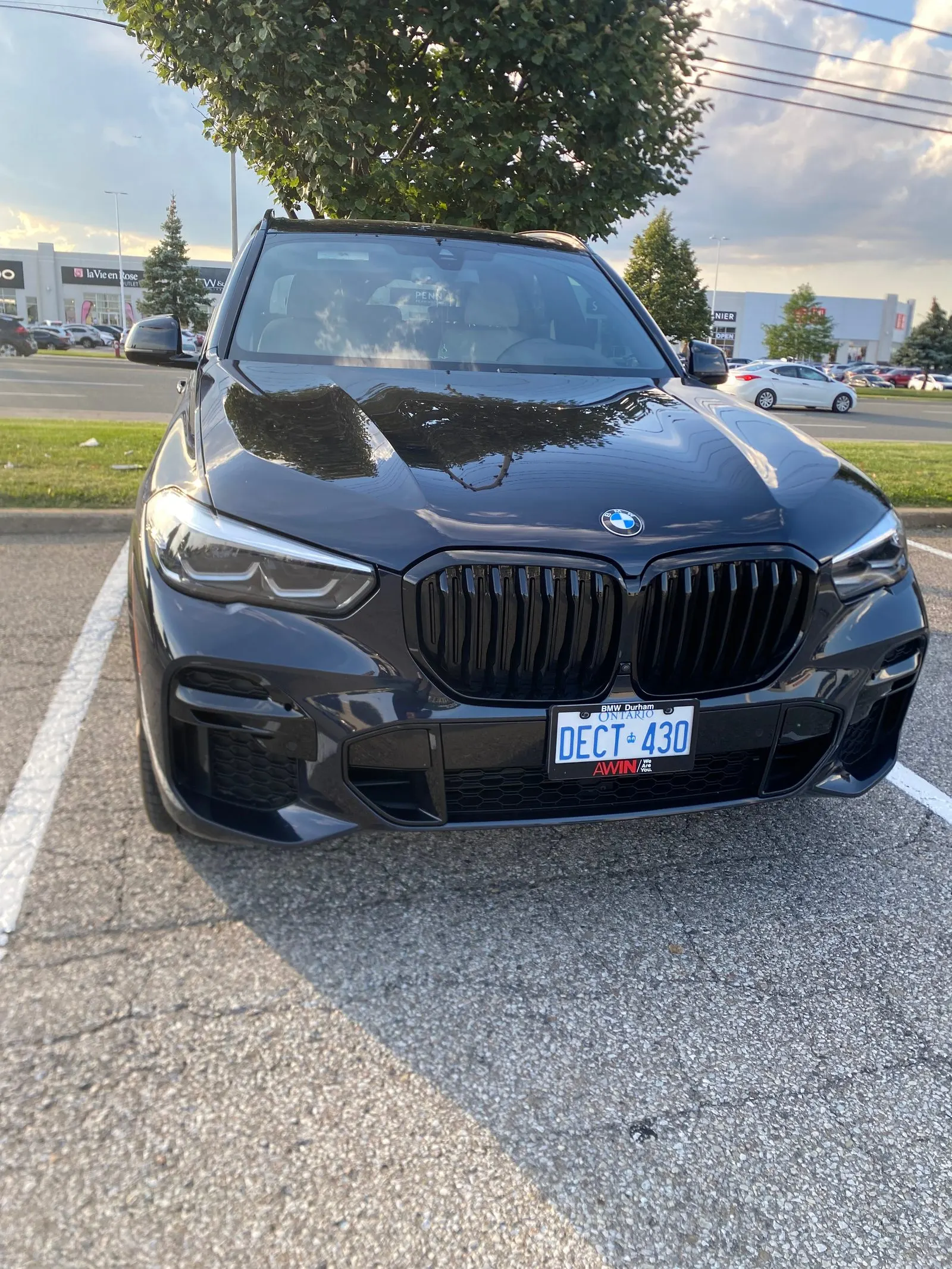 Additional Photo