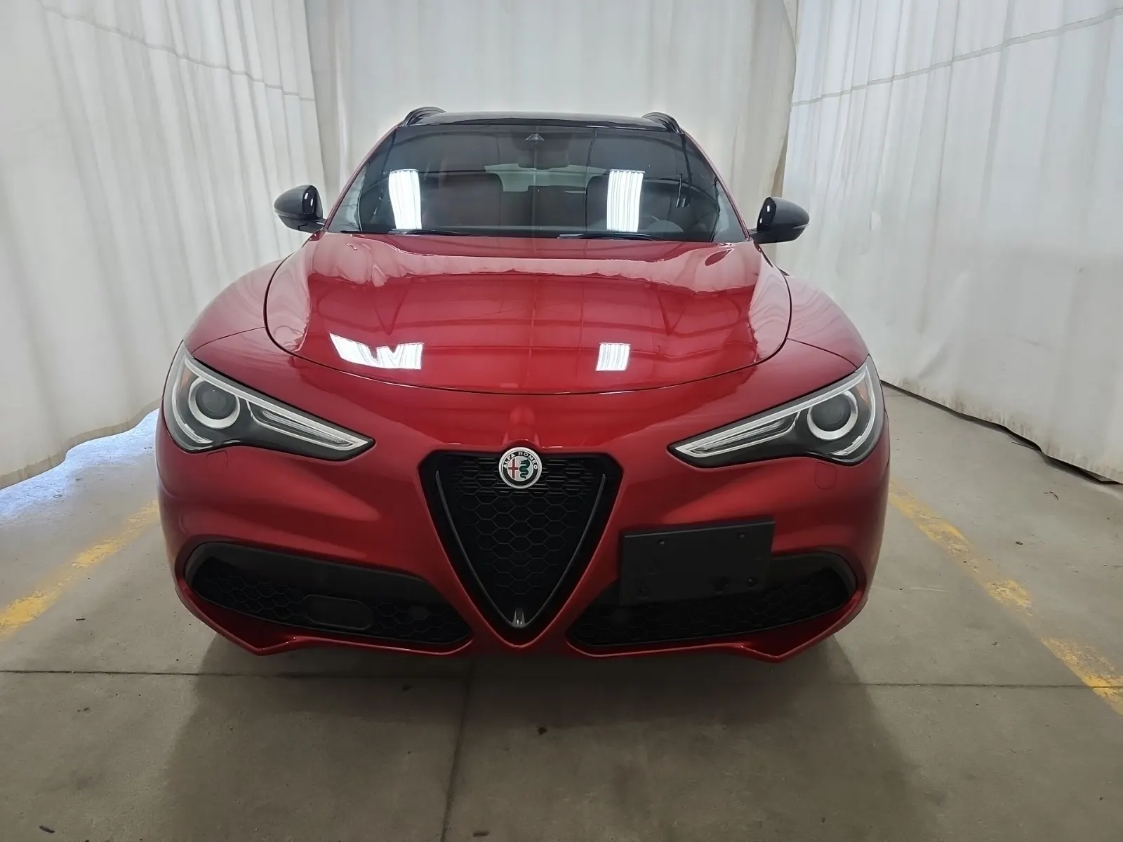 Full Front Photo