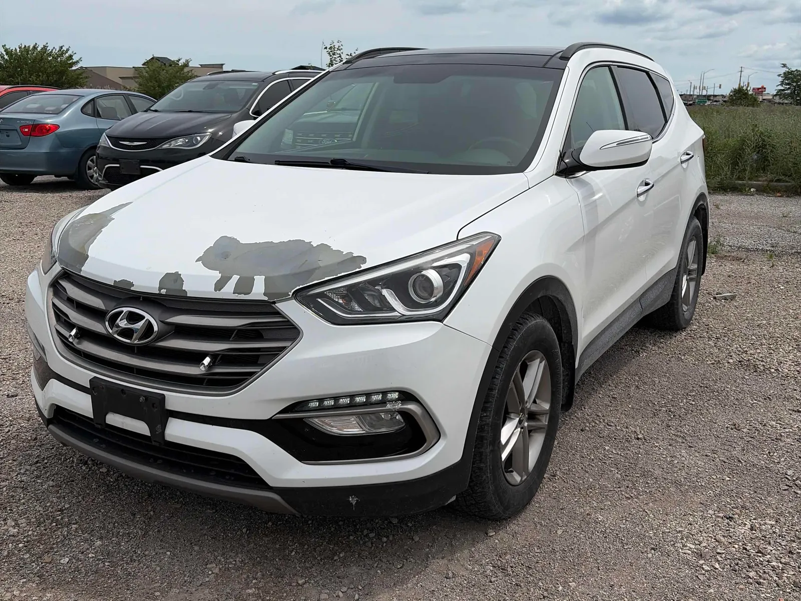 3/4 Front (Main image)