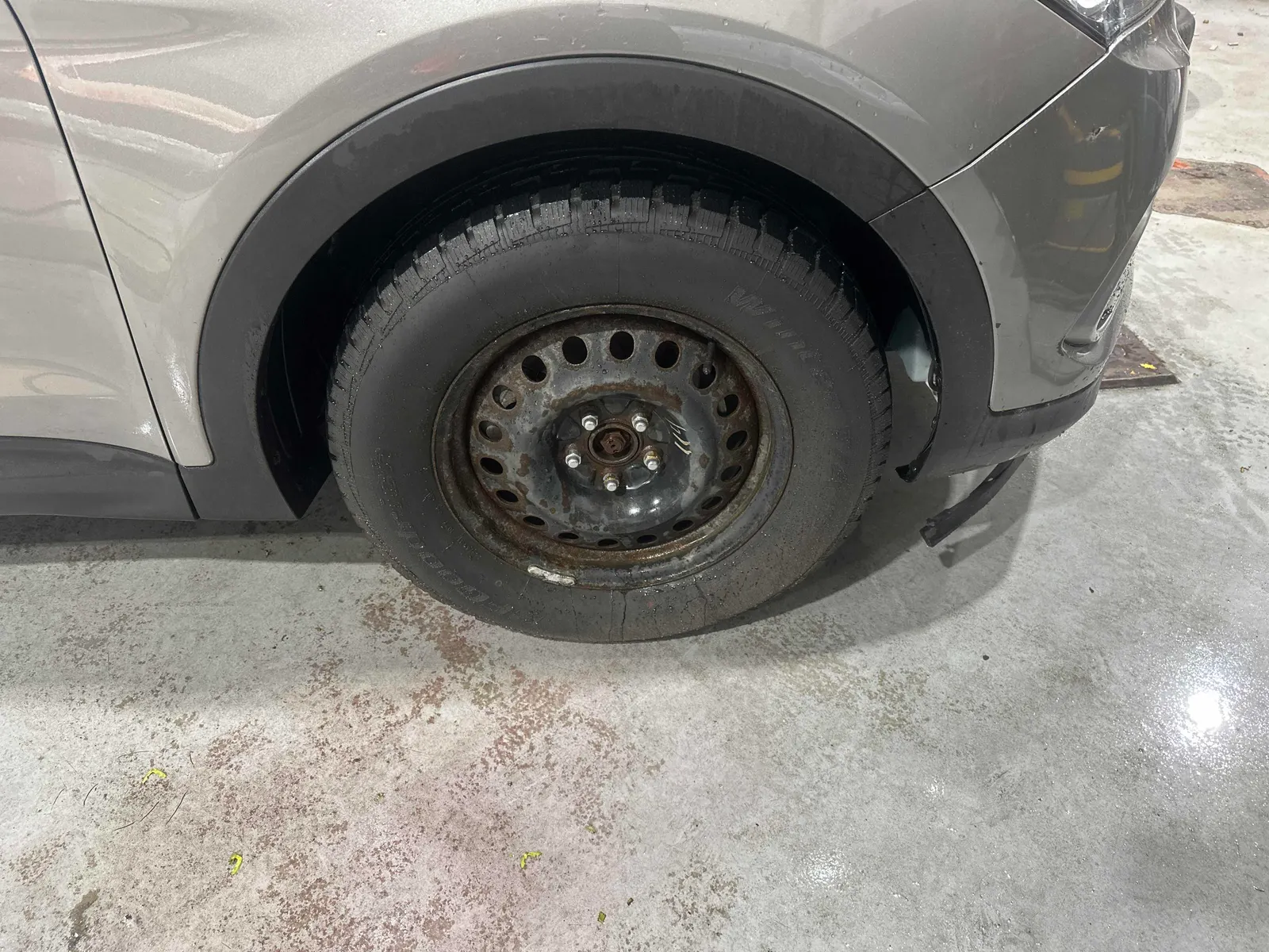 Tire