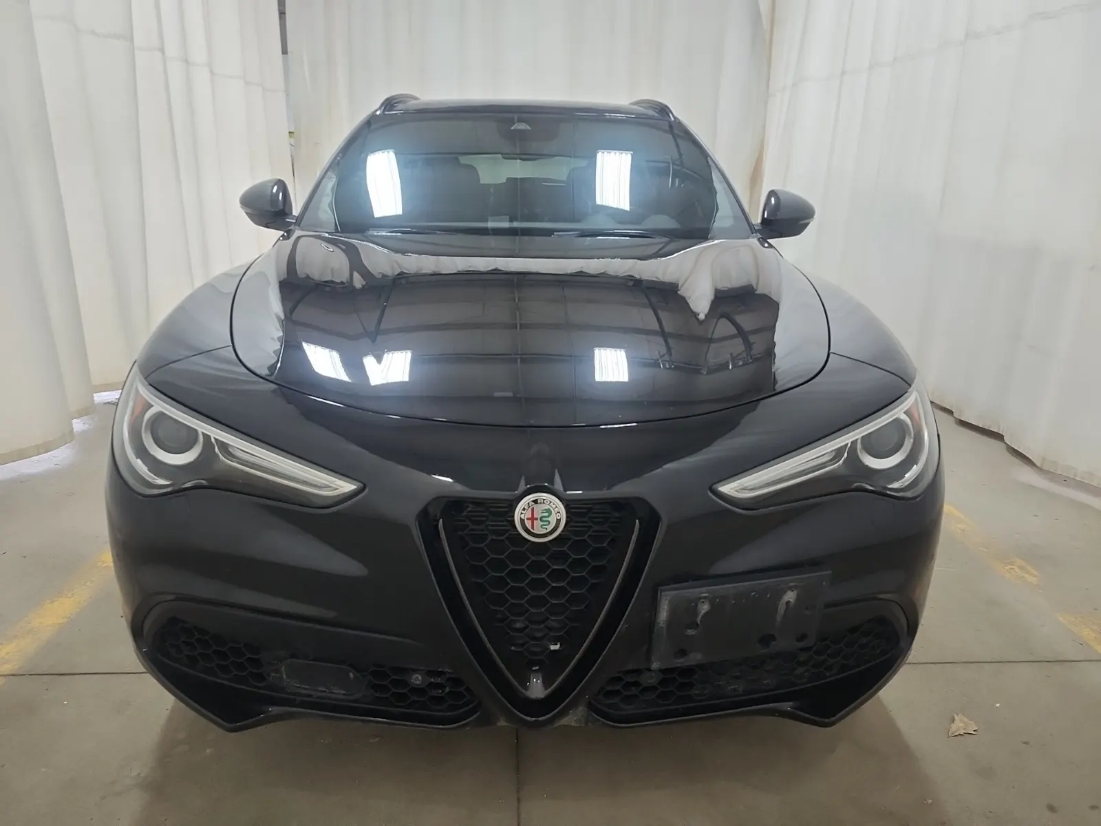 Full Front Photo