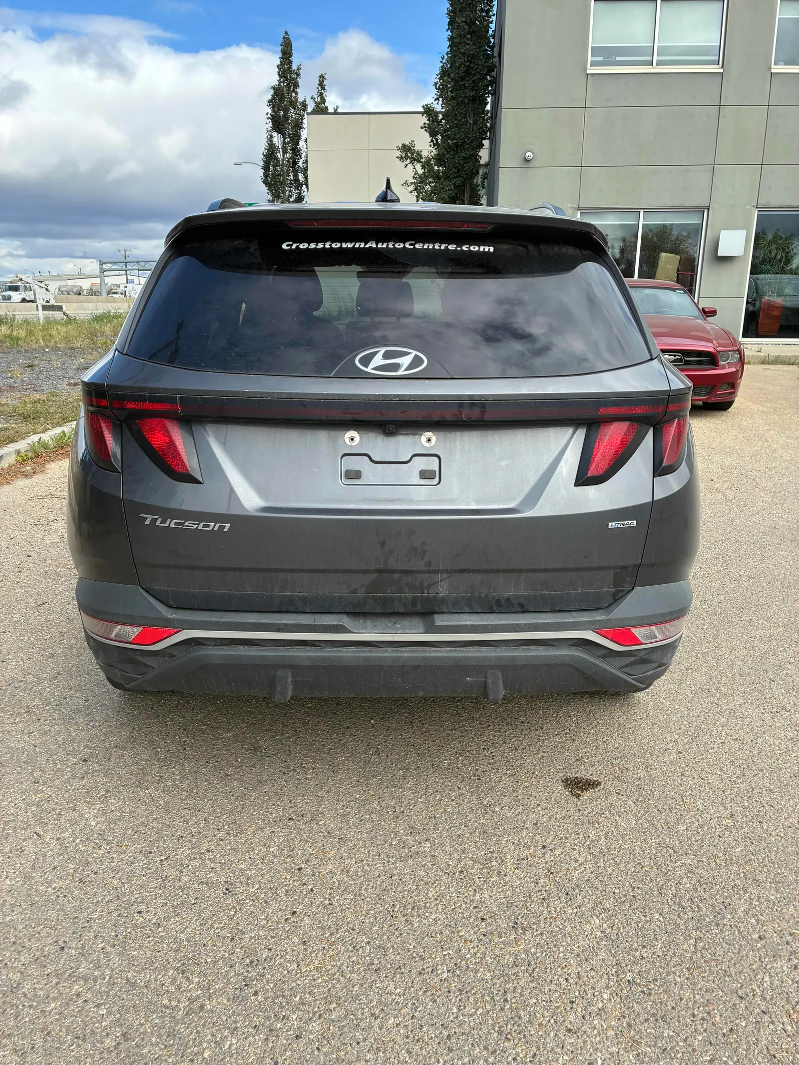 Back