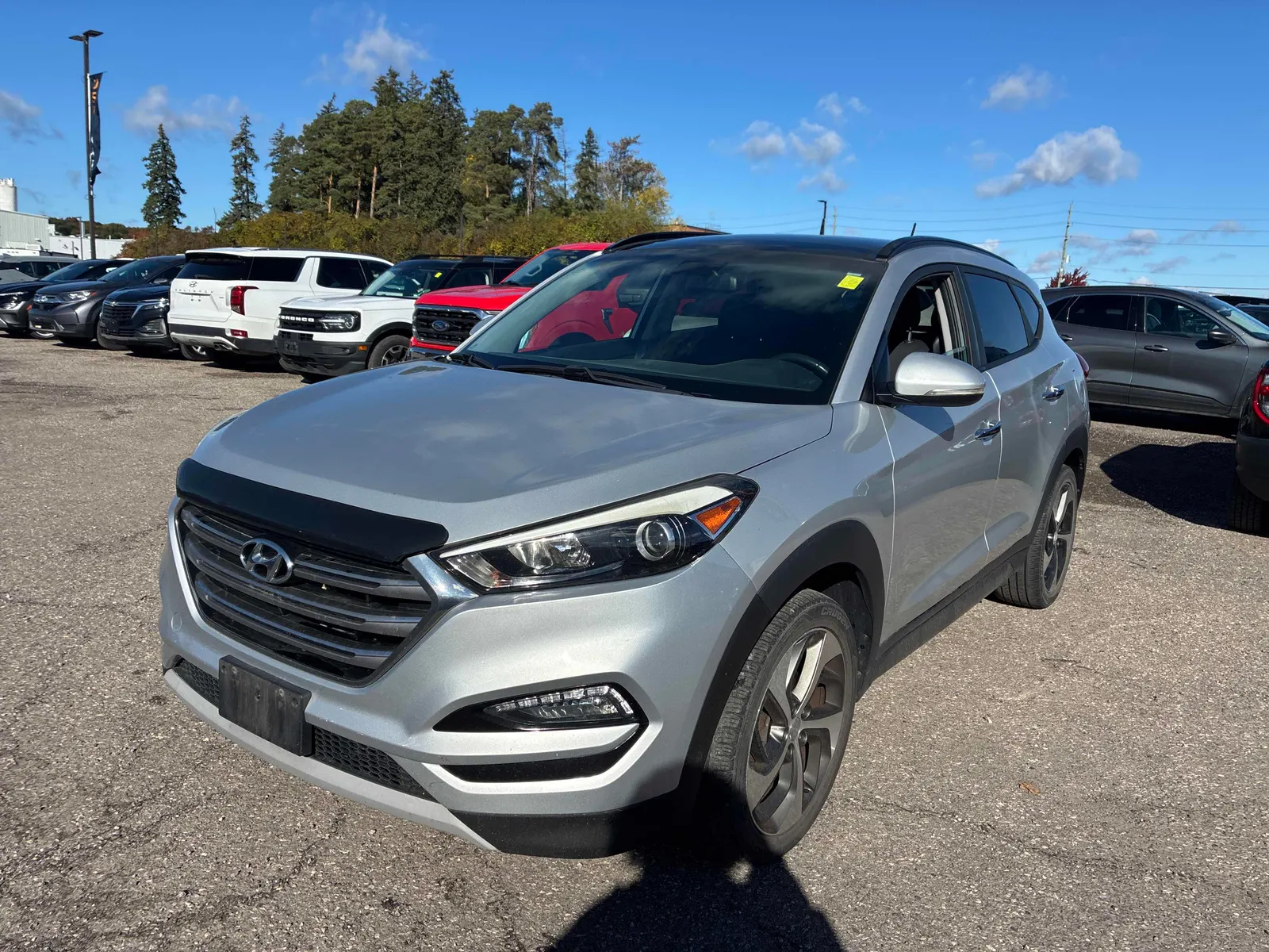 3/4 Front (Main image)