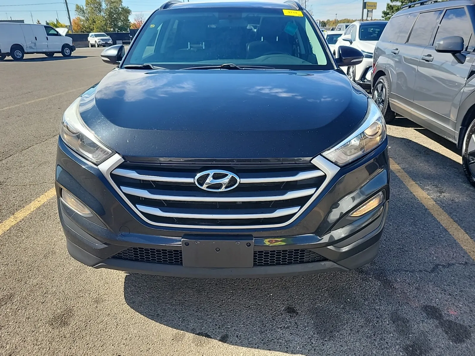 Full Front Photo