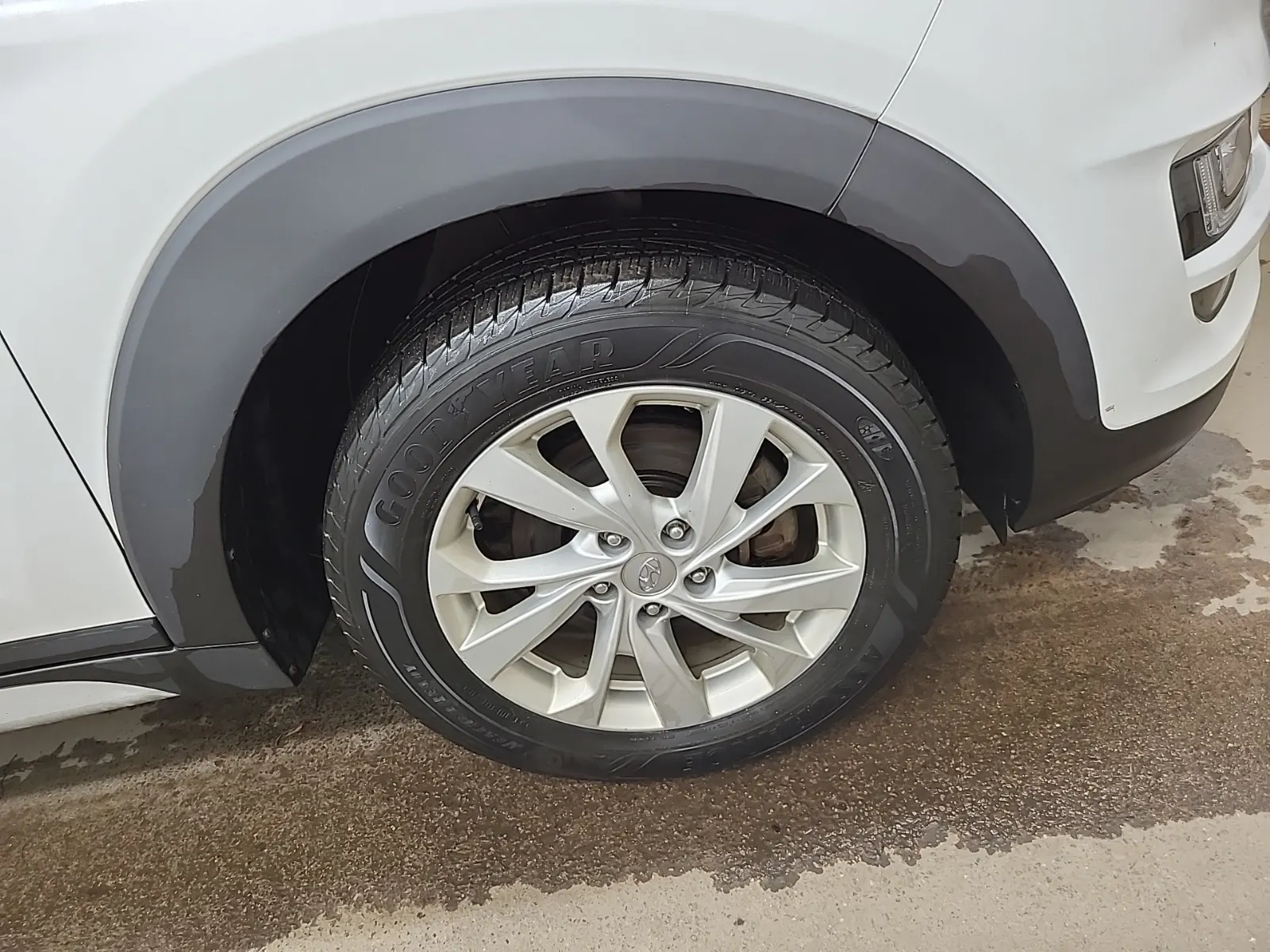 Right Front Wheel/Tire Photo