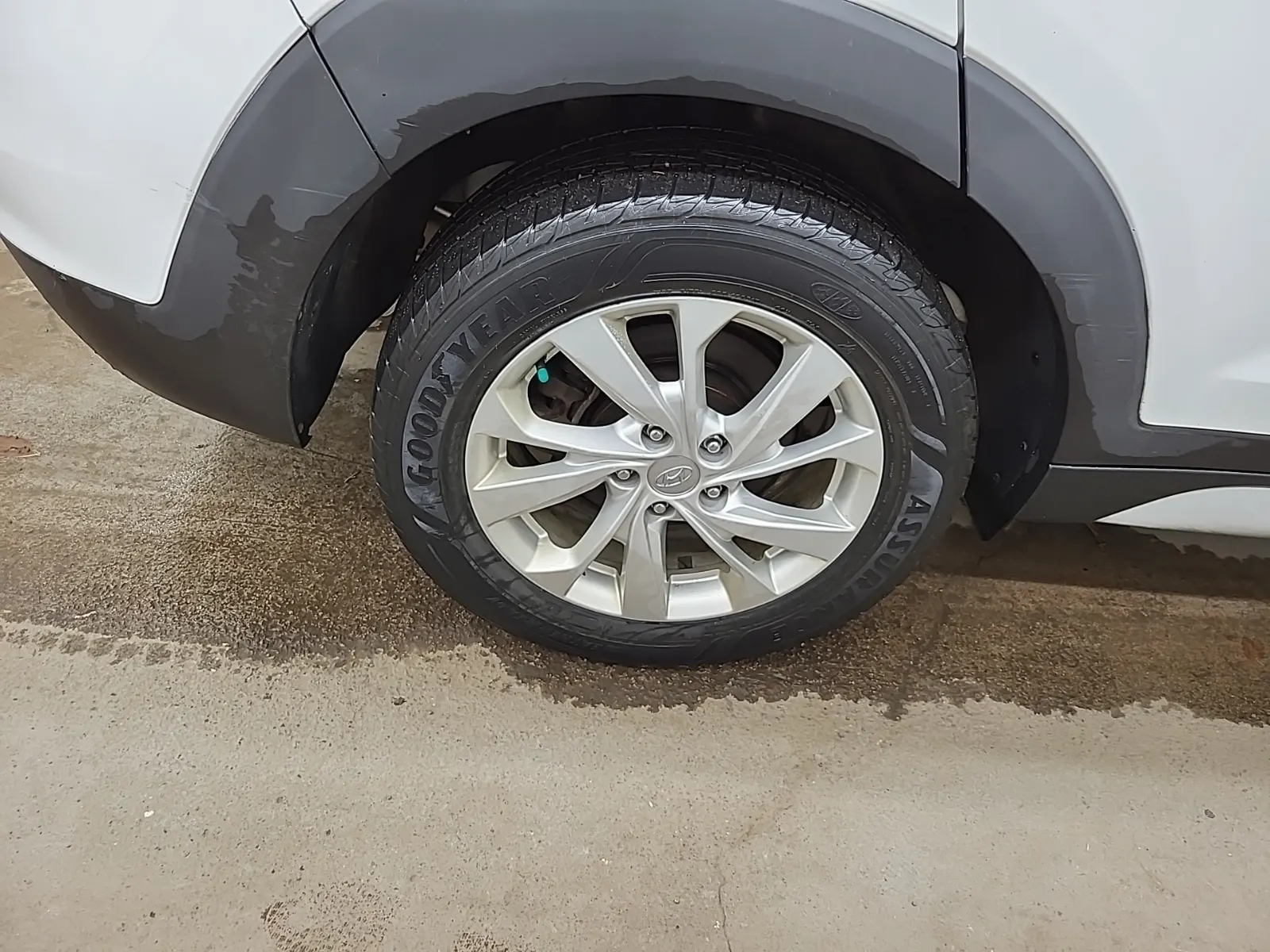Right Rear Wheel/Tire Photo