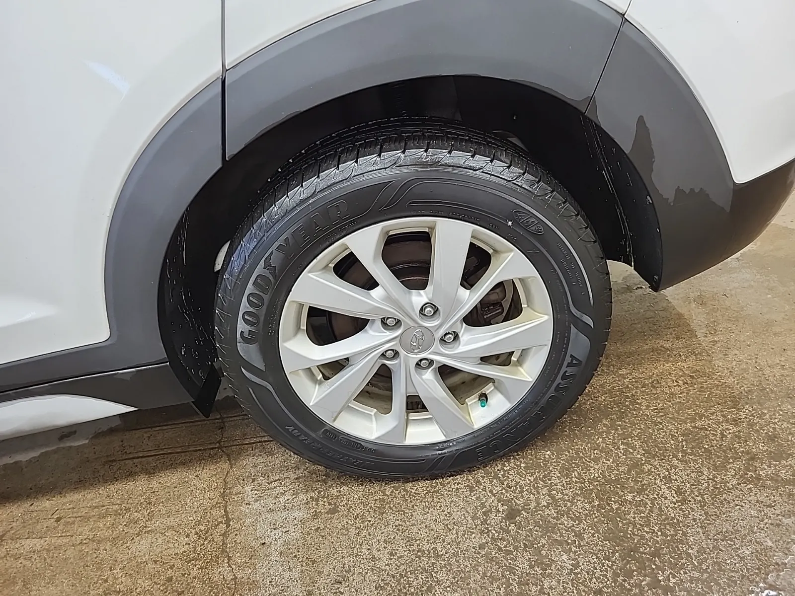 Left Rear Wheel/Tire Photo