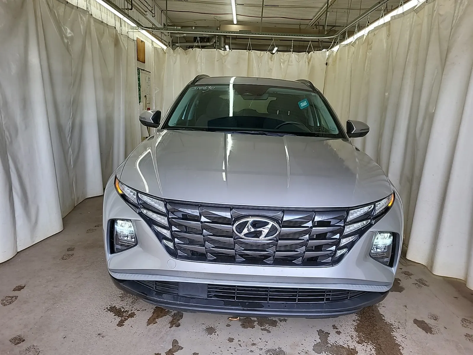 Full Front Photo