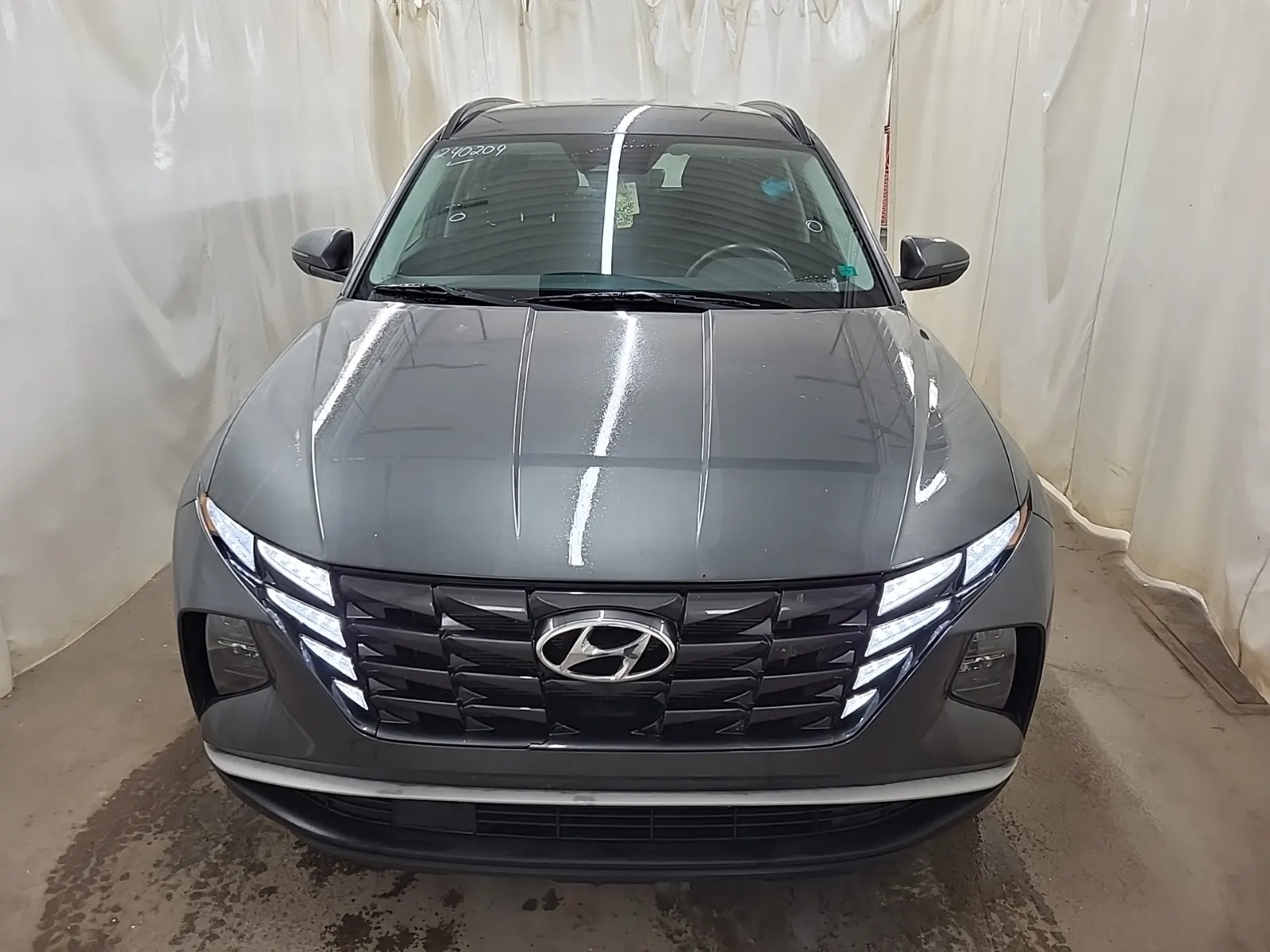 Full Front Photo