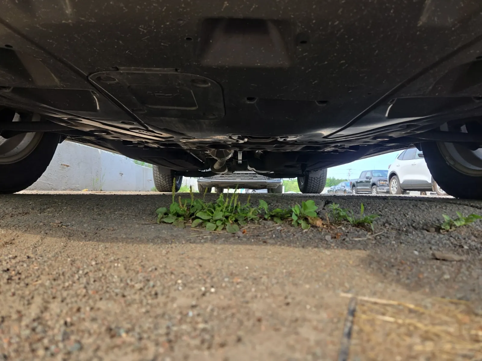 Undercarriage - Front Photo