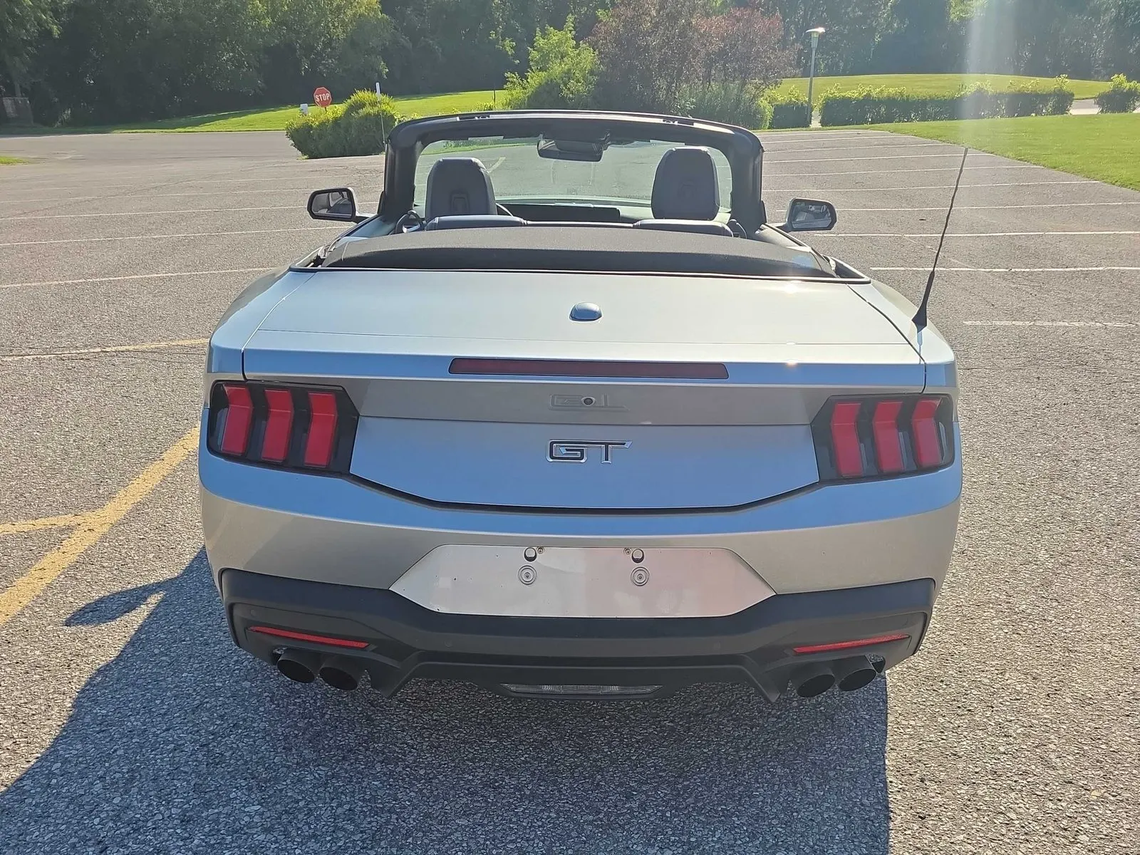Back