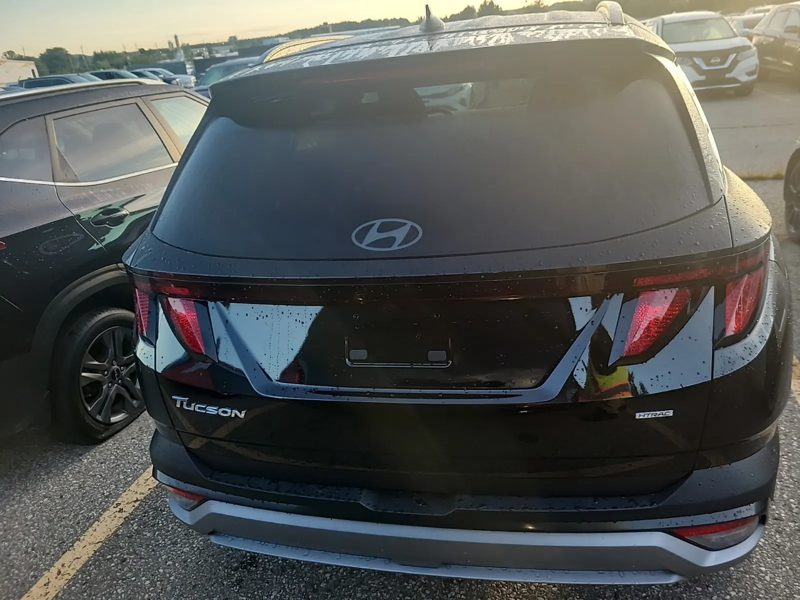 Full Rear Photo