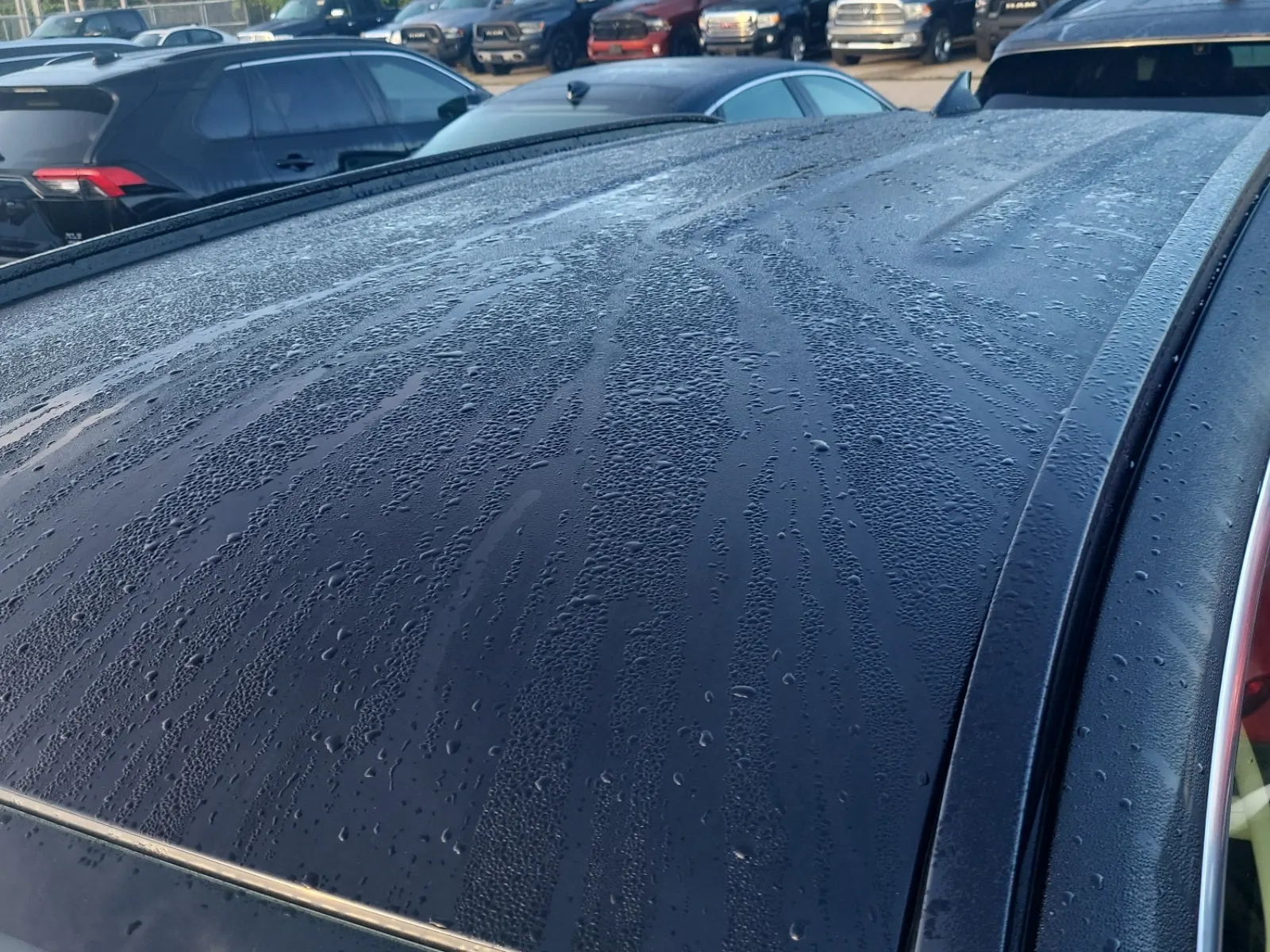 Exterior Roof Photo
