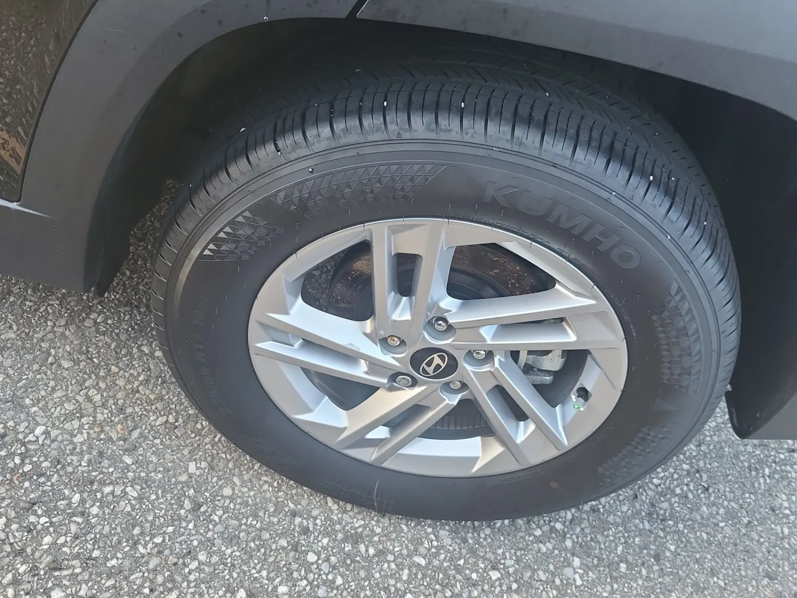 Left Rear Wheel/Tire Photo