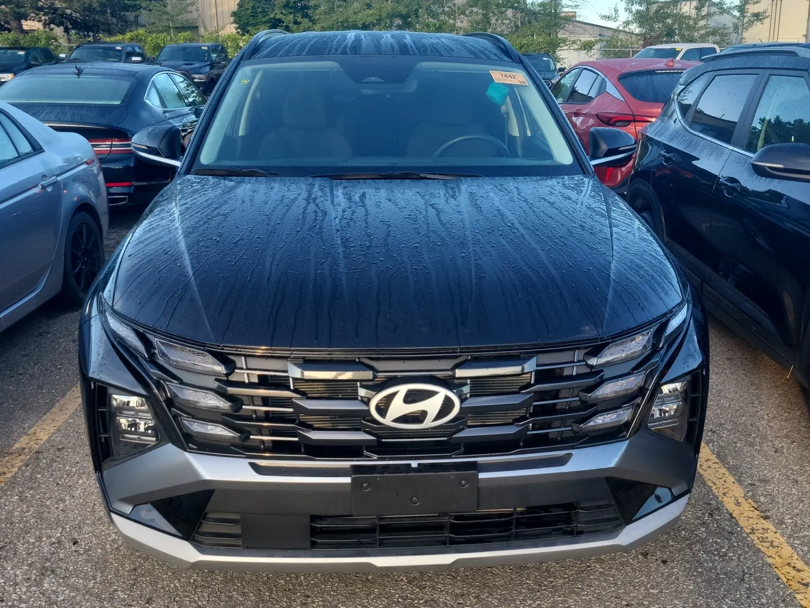 Full Front Photo