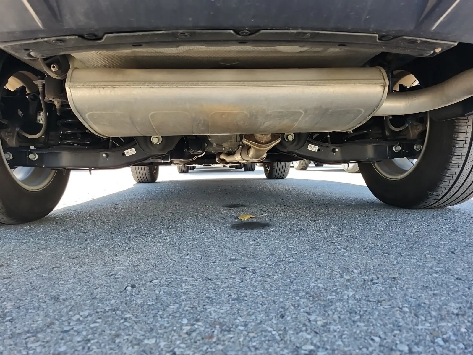 Undercarriage - Rear Photo