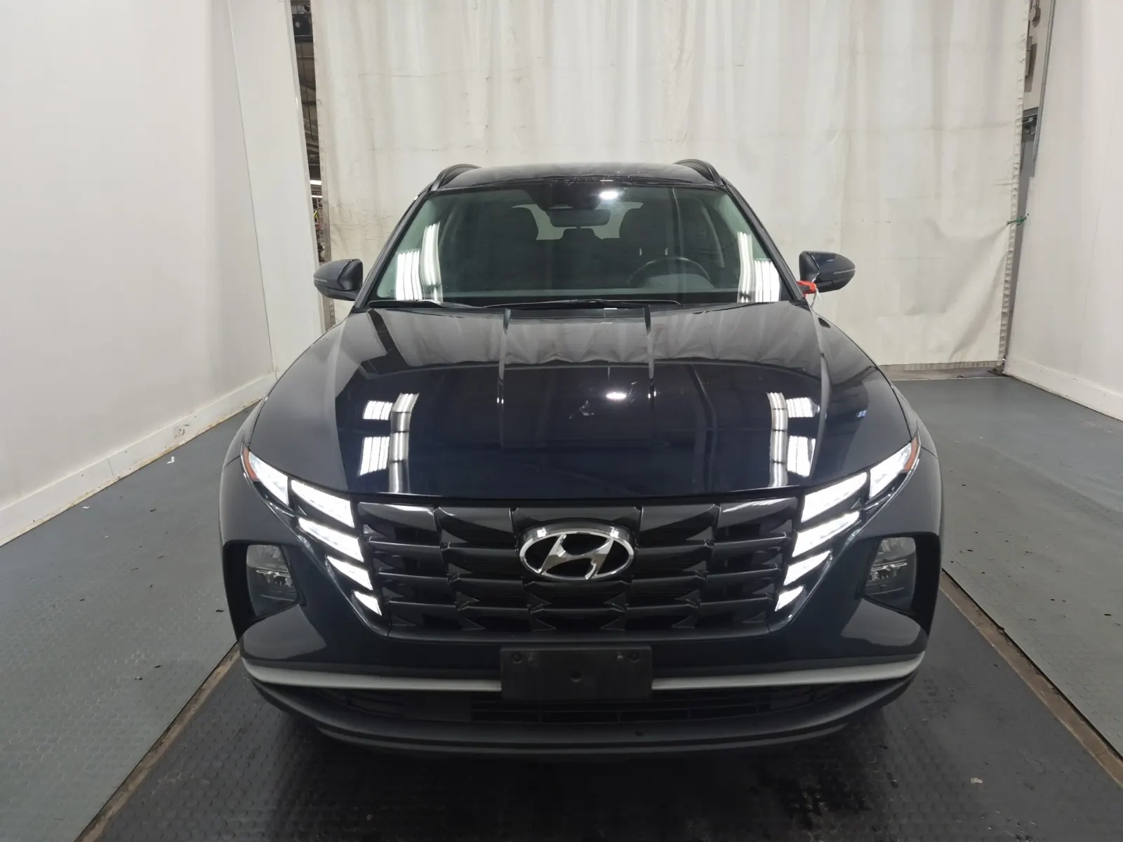 Full Front Photo