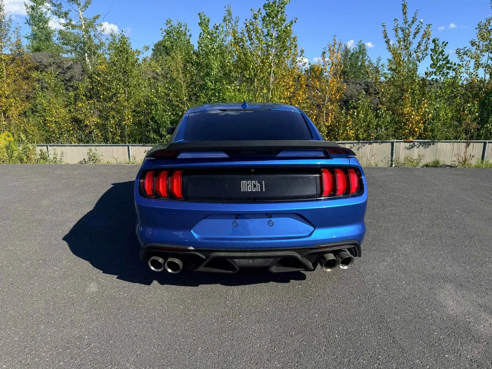 Back