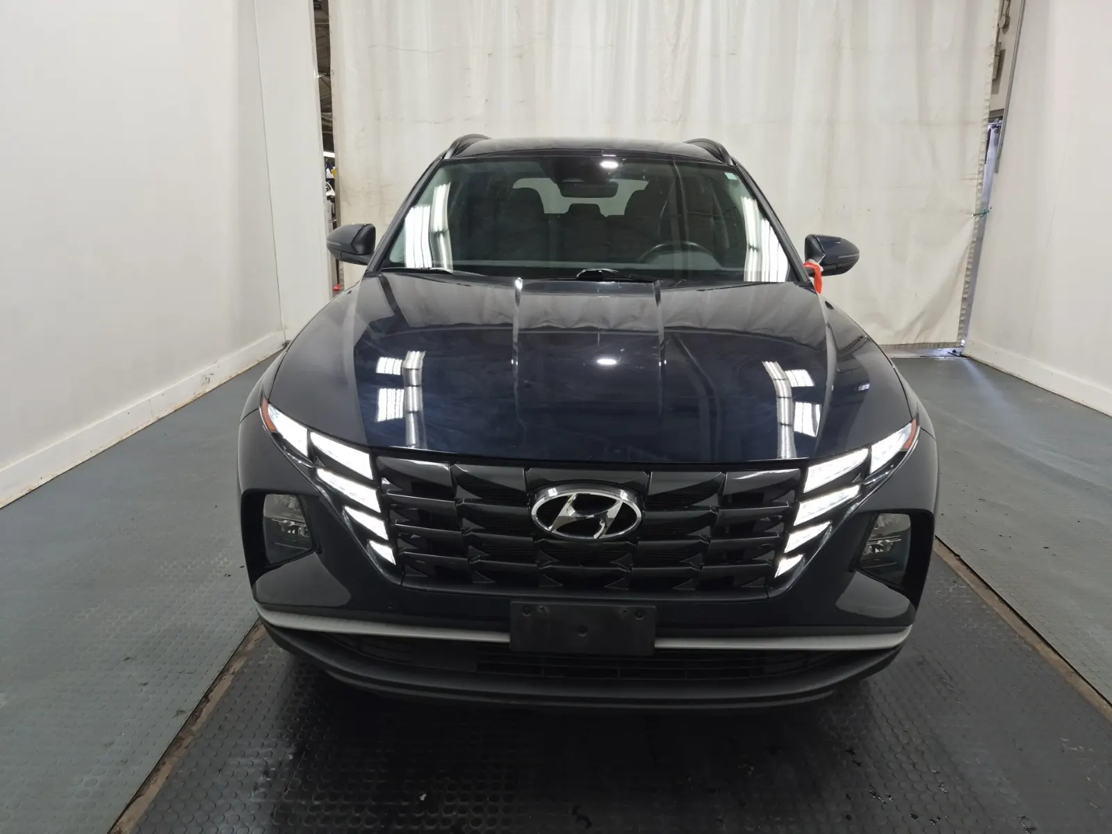 Full Front Photo