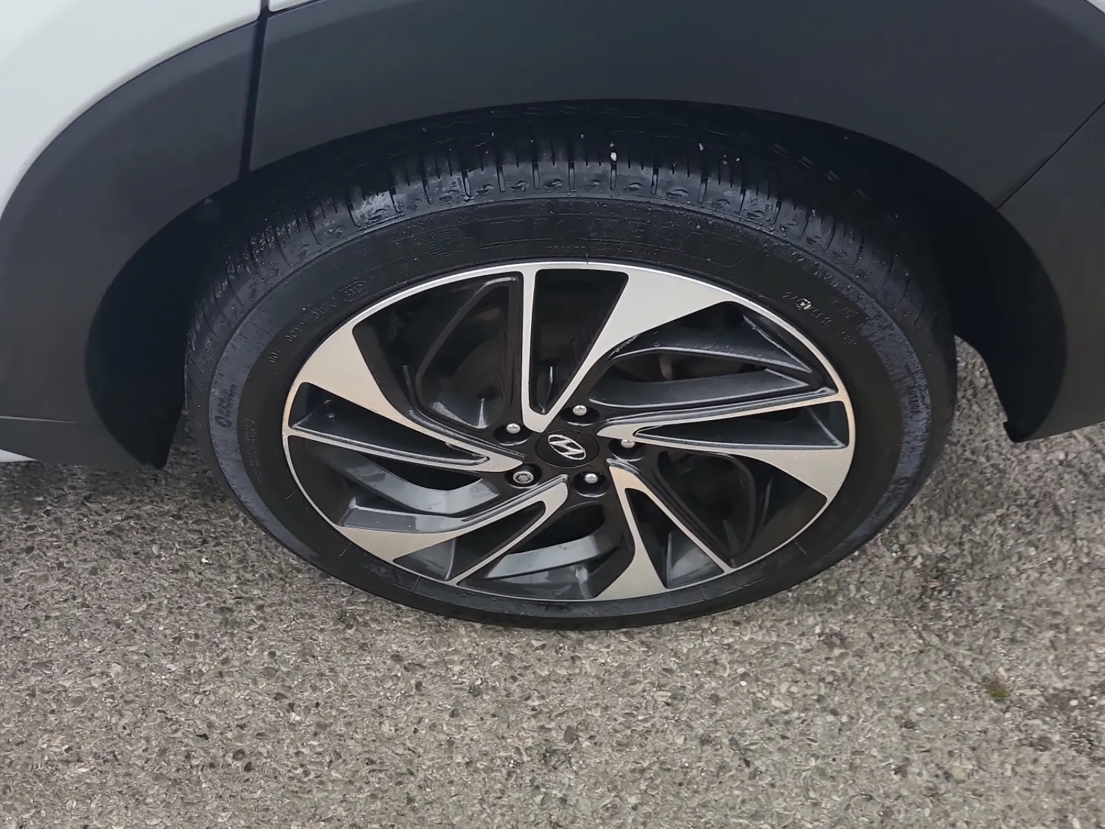 Left Rear Wheel/Tire Photo
