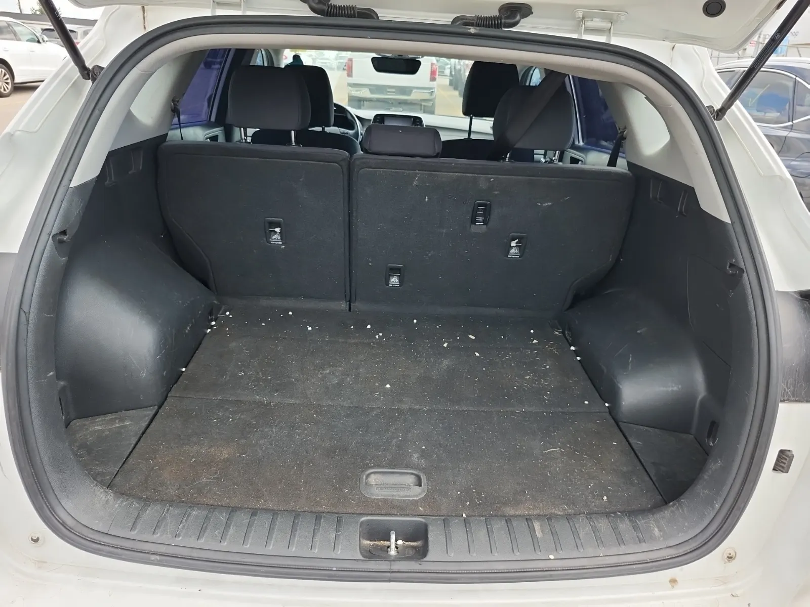 Cargo Area Photo