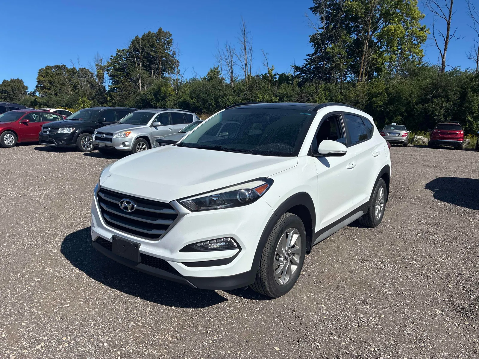 3/4 Front (Main image)
