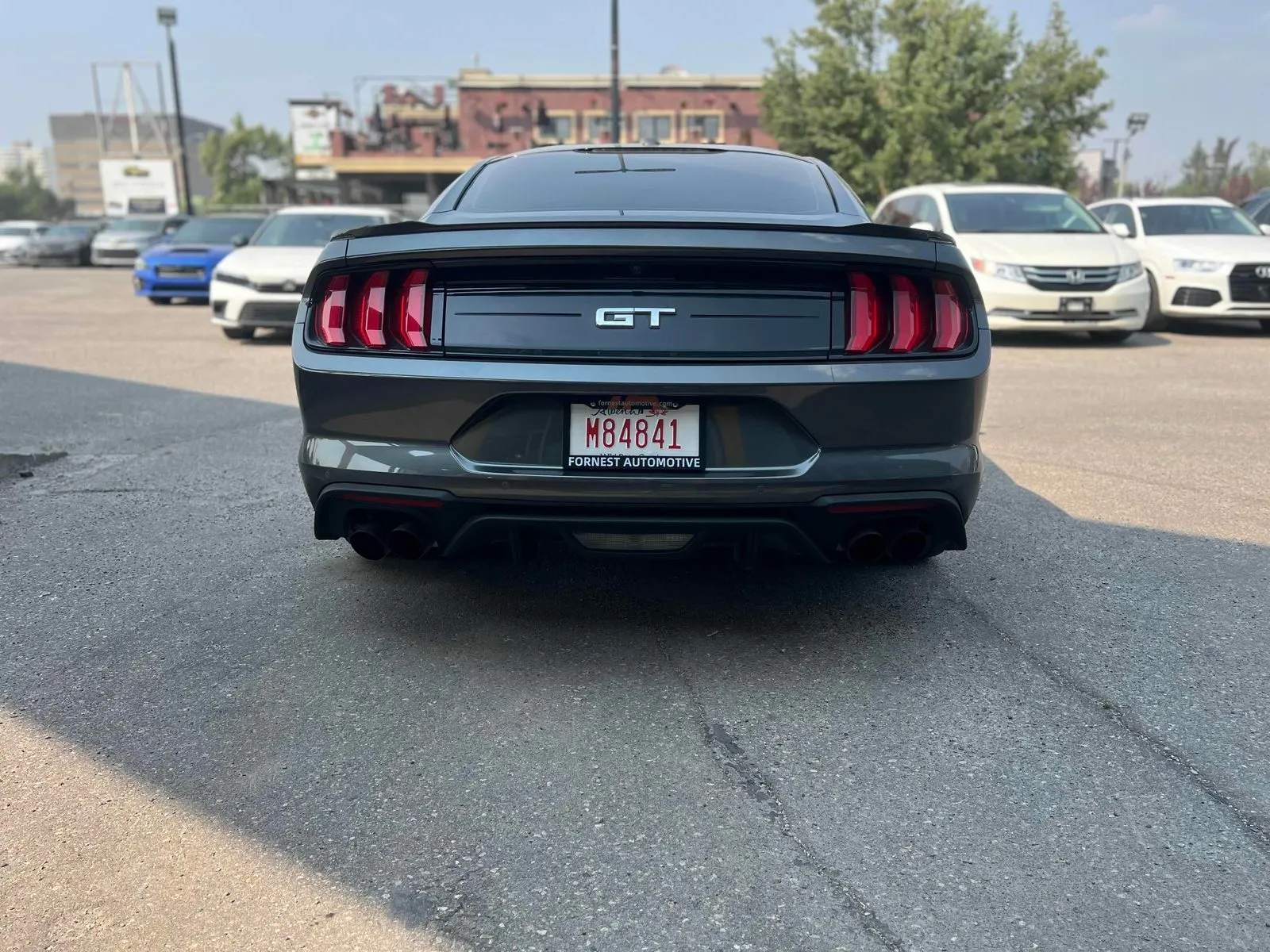 Back