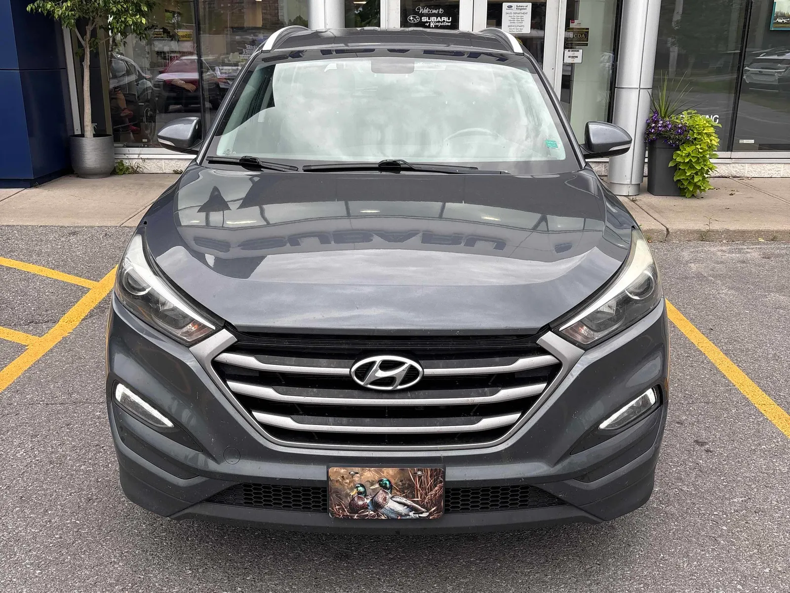 Front