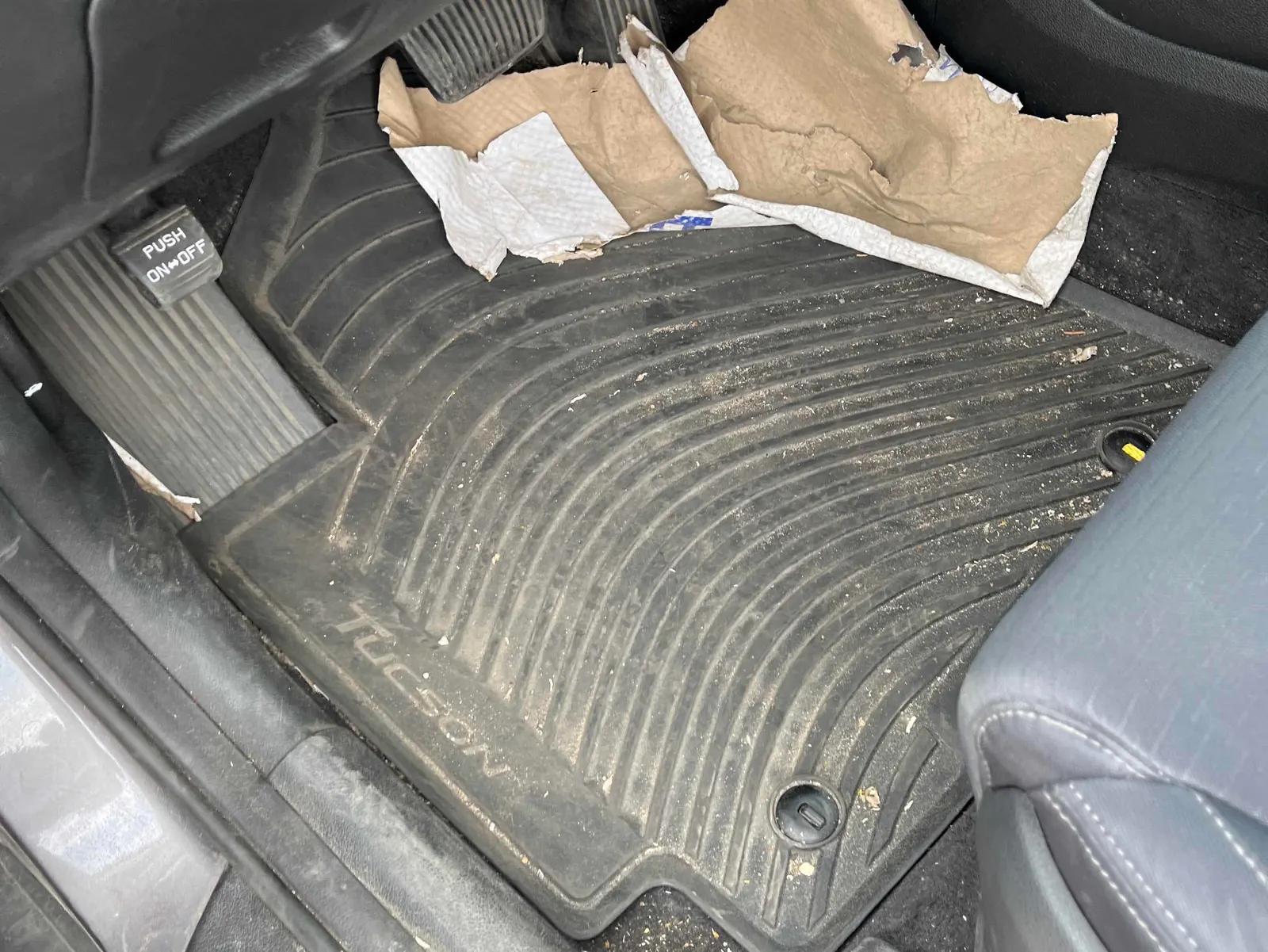 Additional Photo