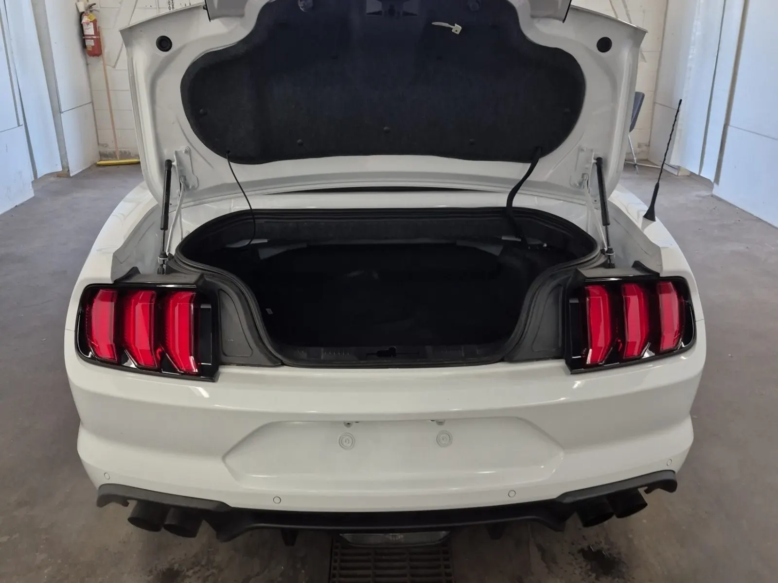 Cargo Area Photo