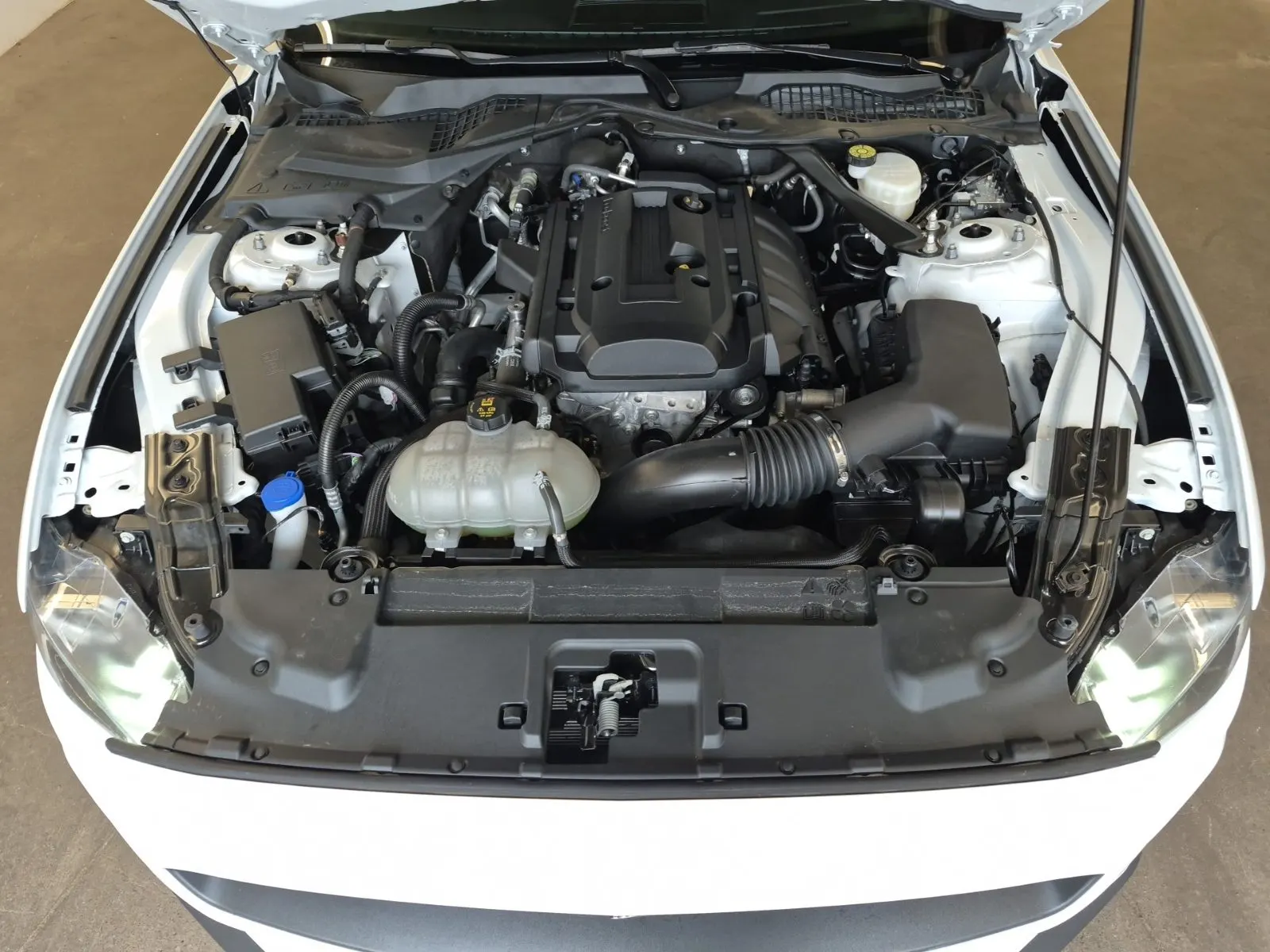 Engine Photo