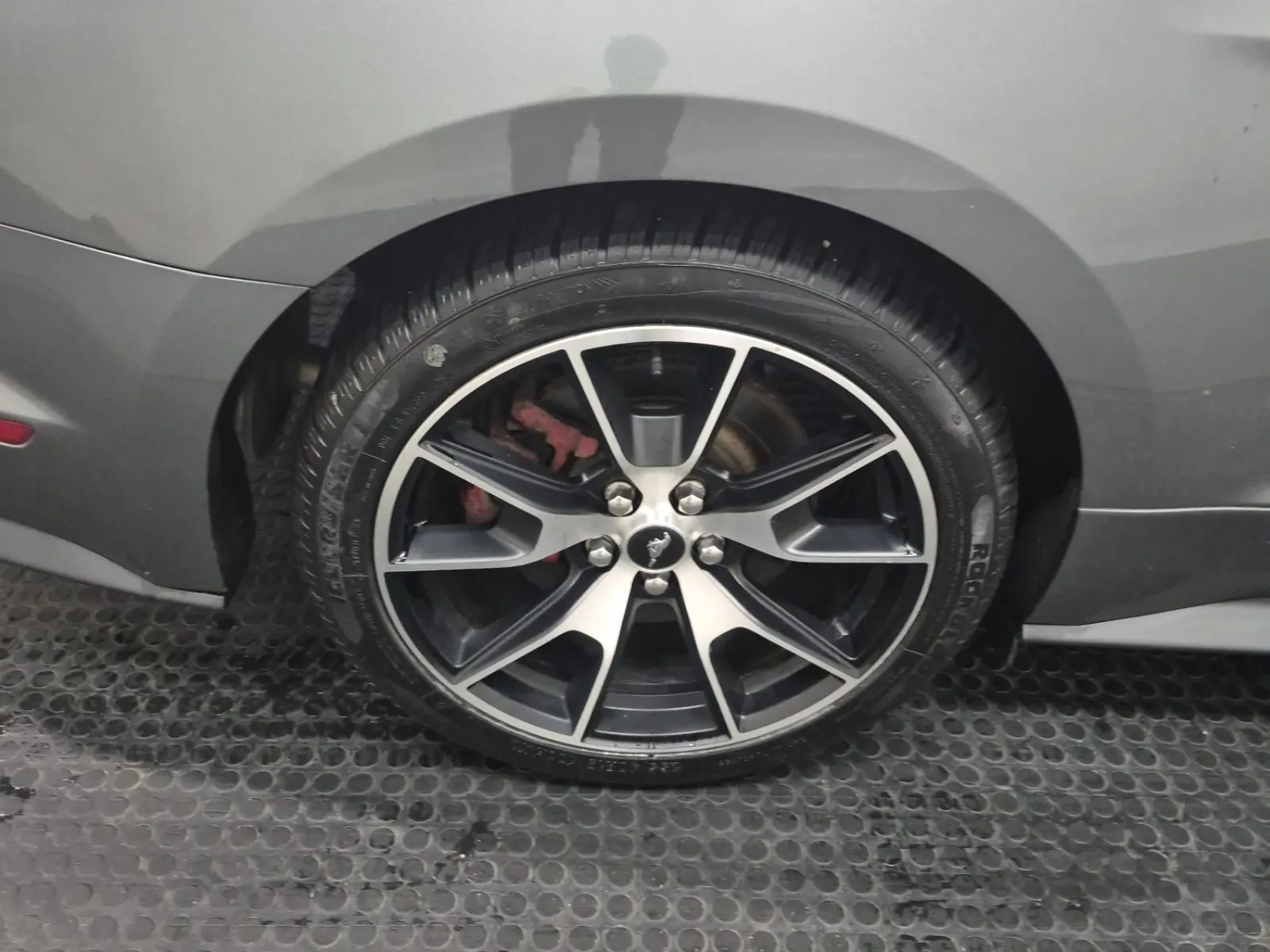 Right Rear Wheel/Tire Photo