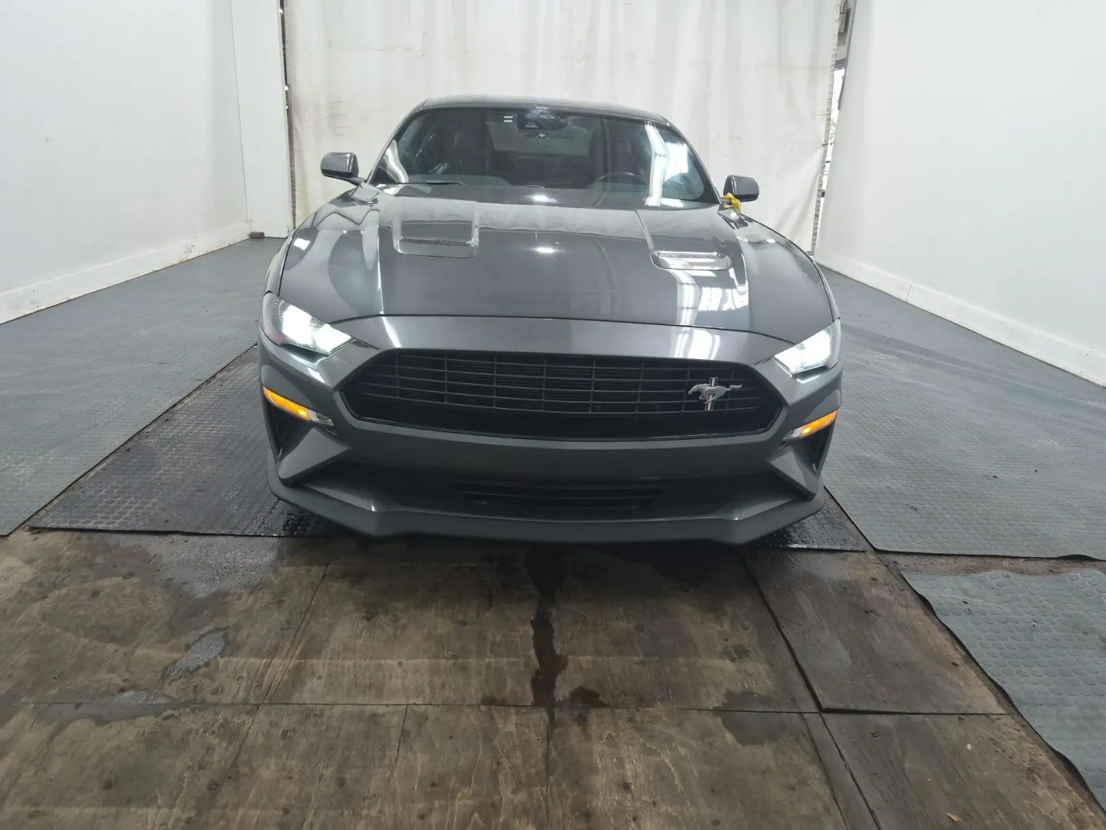 Full Front Photo